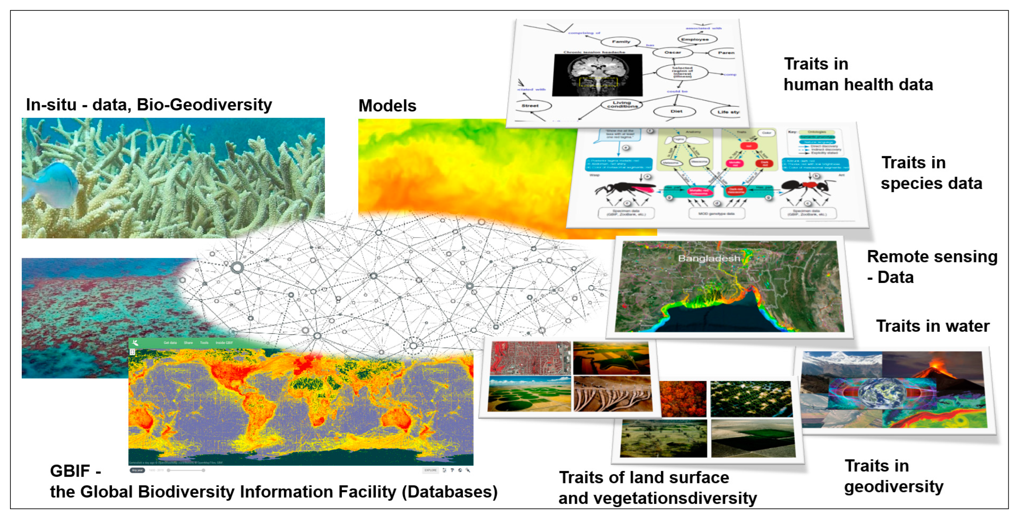 Remotesensing 16 02425 g010