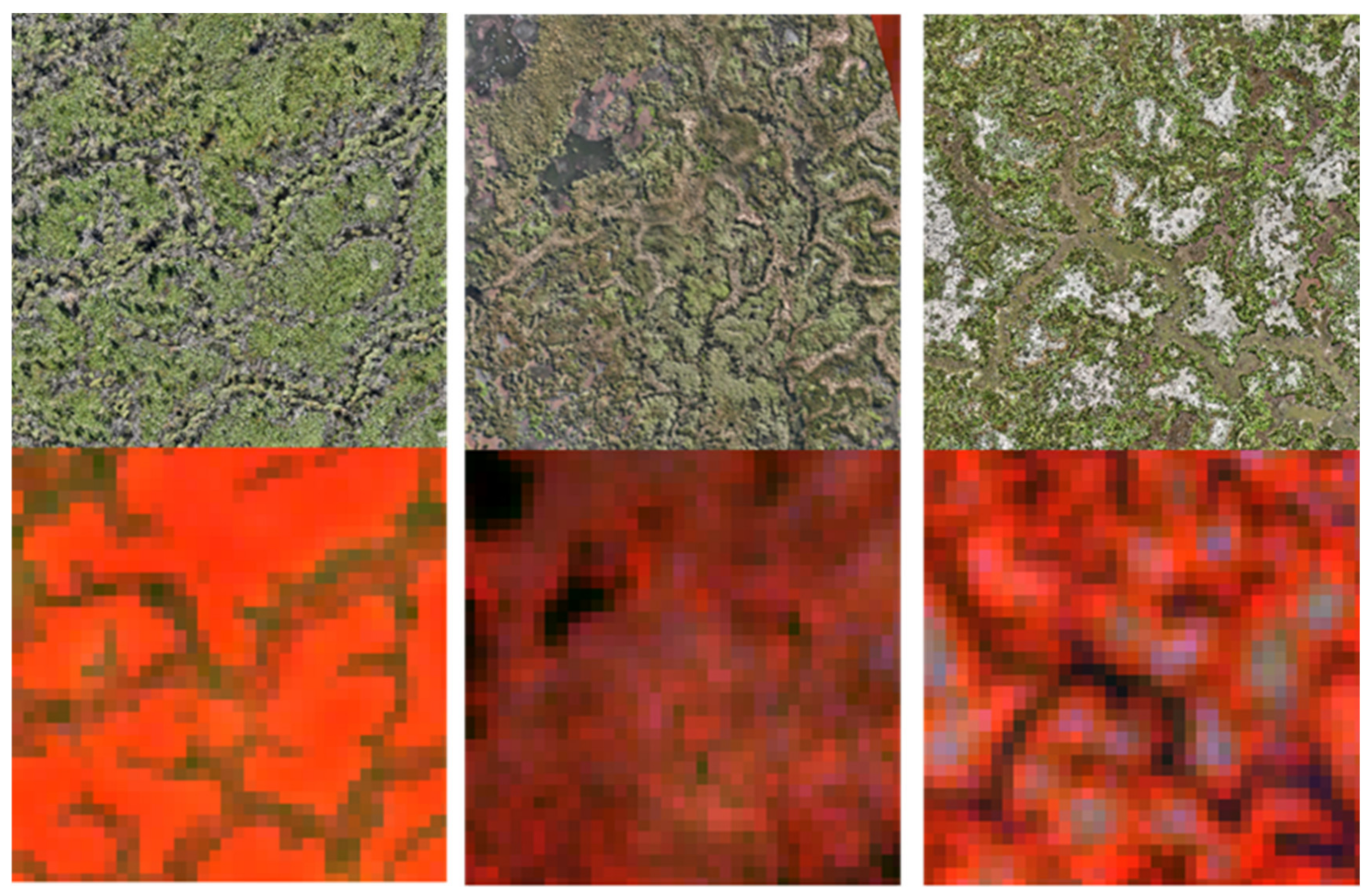 Remotesensing 16 02434 g005