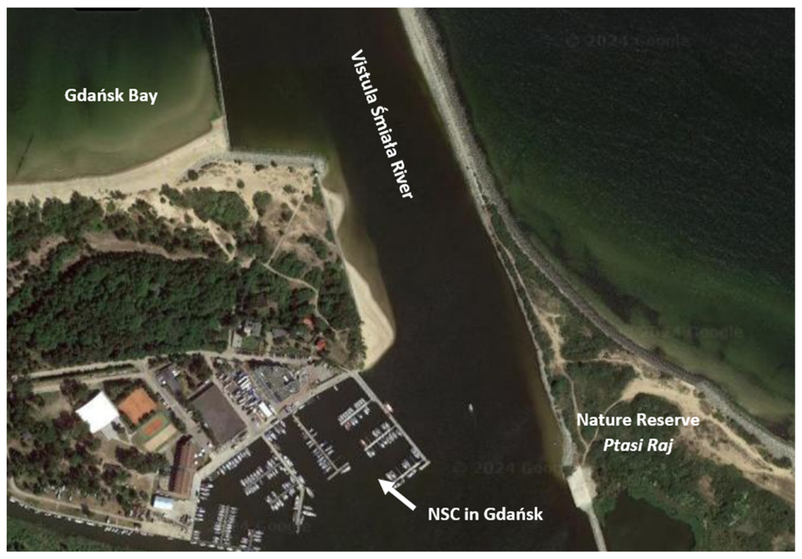 Remotesensing 16 02522 g003