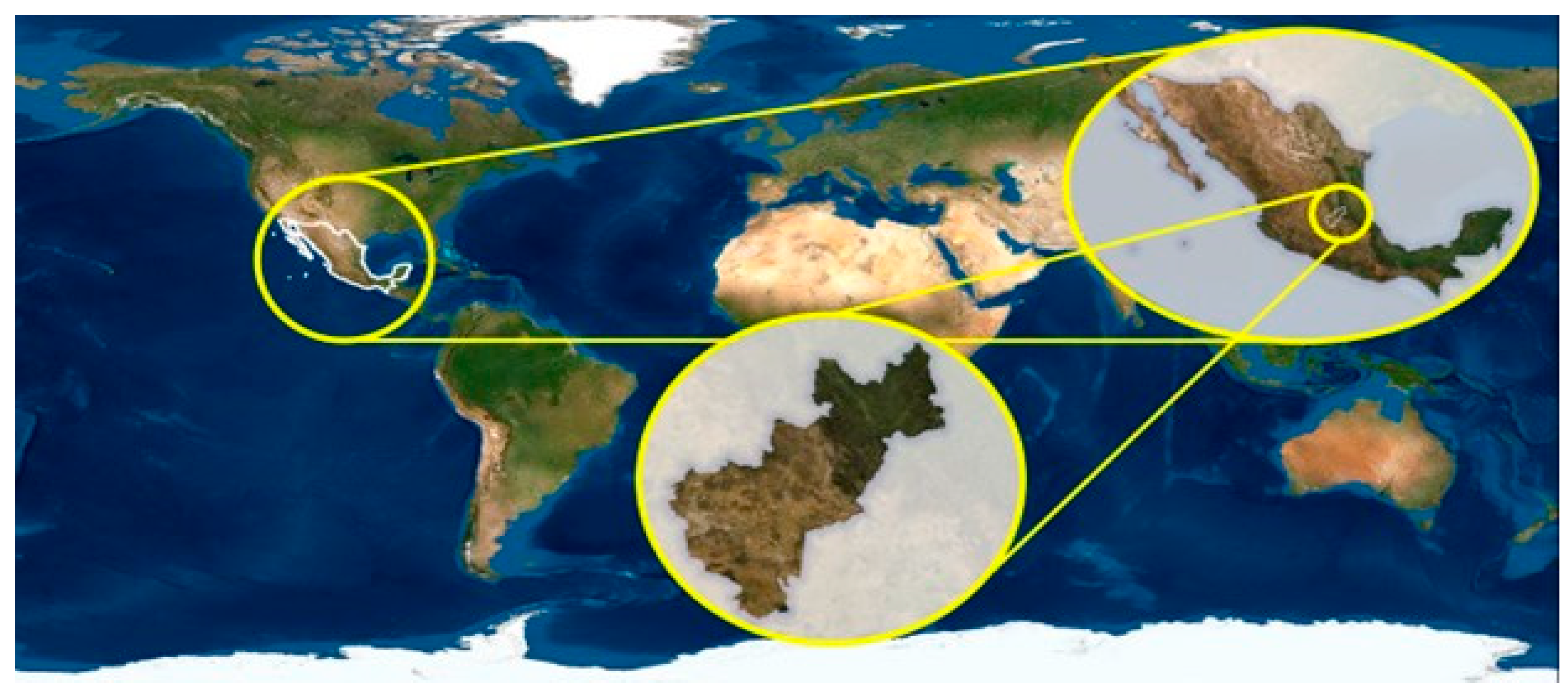 Remotesensing 16 02538 g001