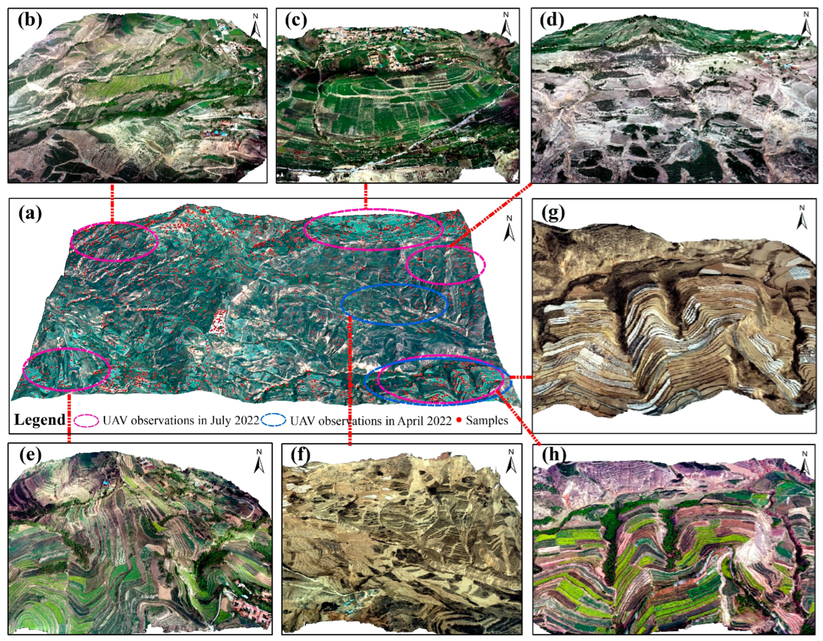 Remotesensing 16 02556 g002