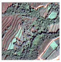 Remotesensing 16 02556 i007