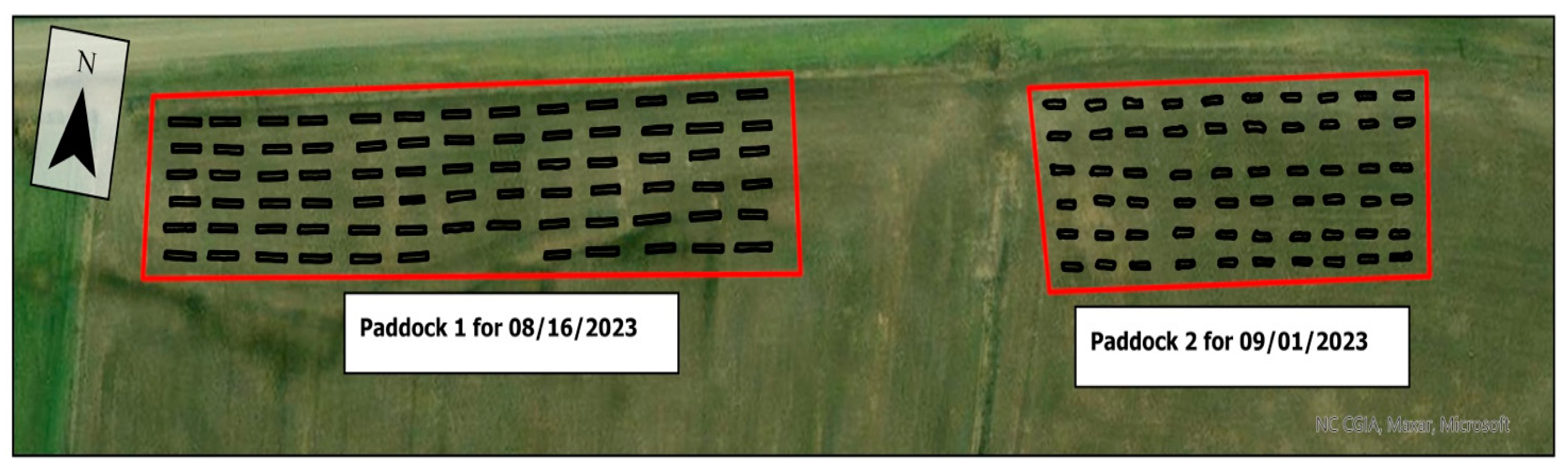 Remotesensing 16 02646 g001