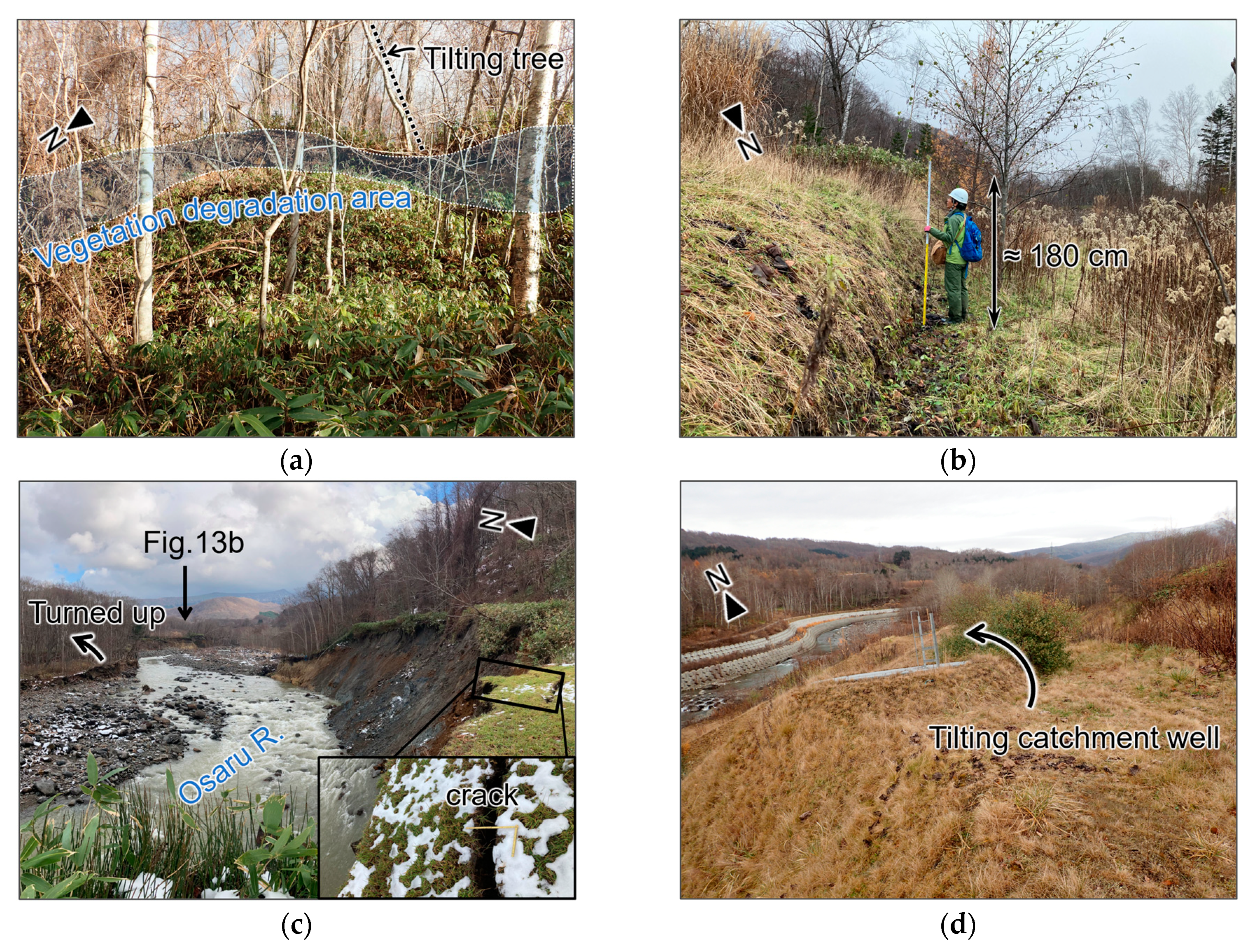 Remotesensing 16 02687 g013a