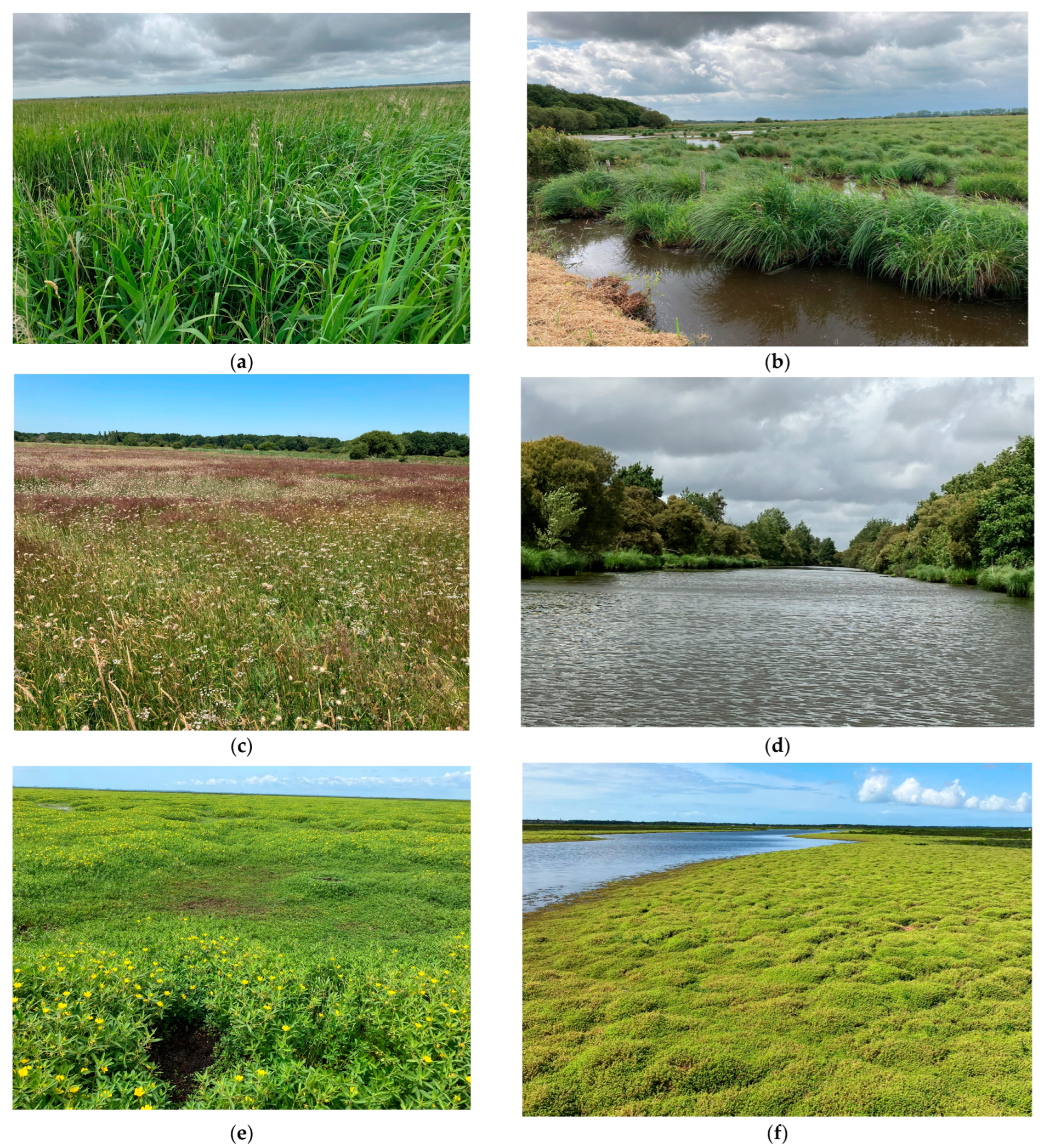 Remotesensing 16 02708 g007