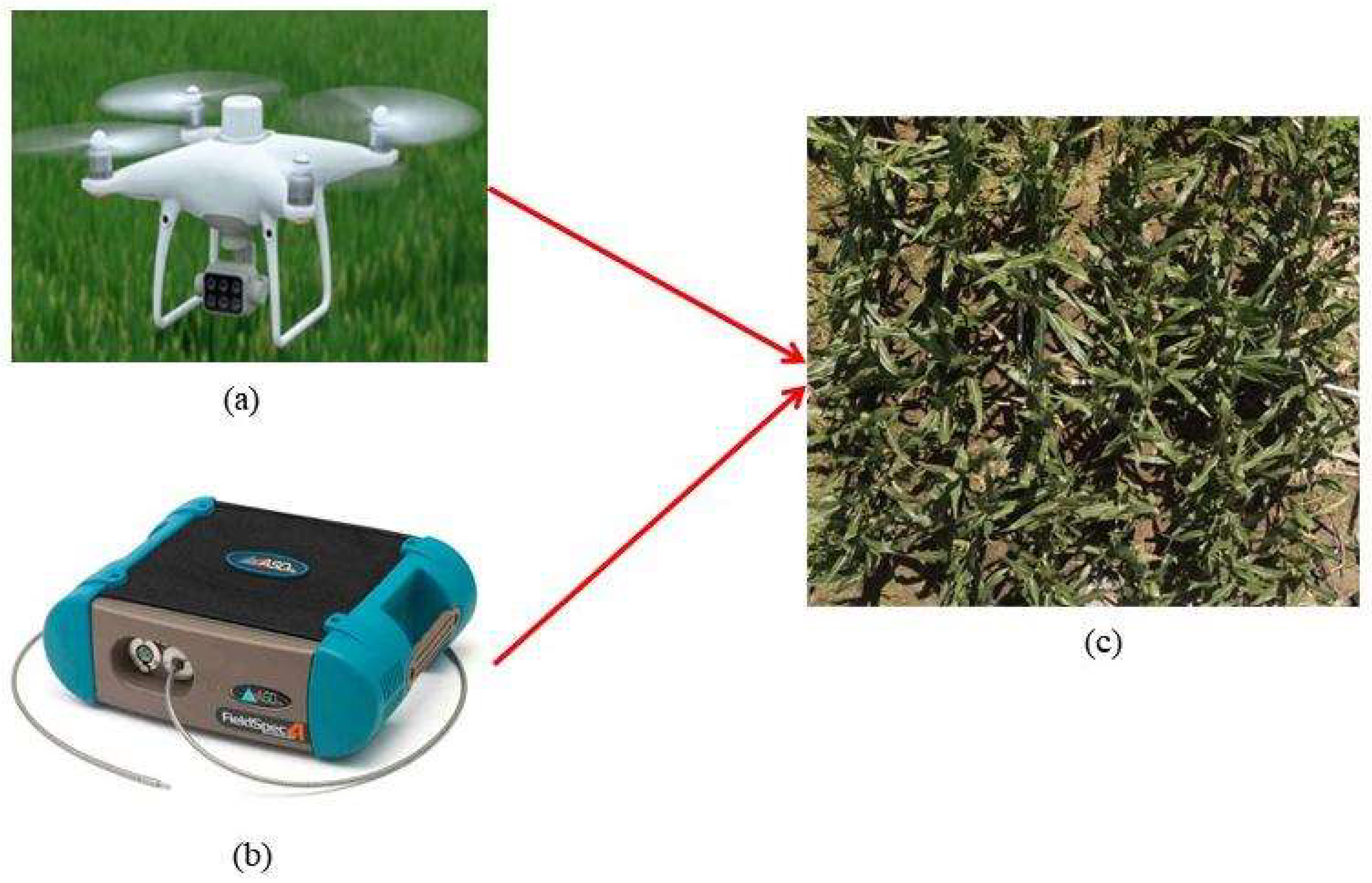 Remotesensing 16 02721 g002