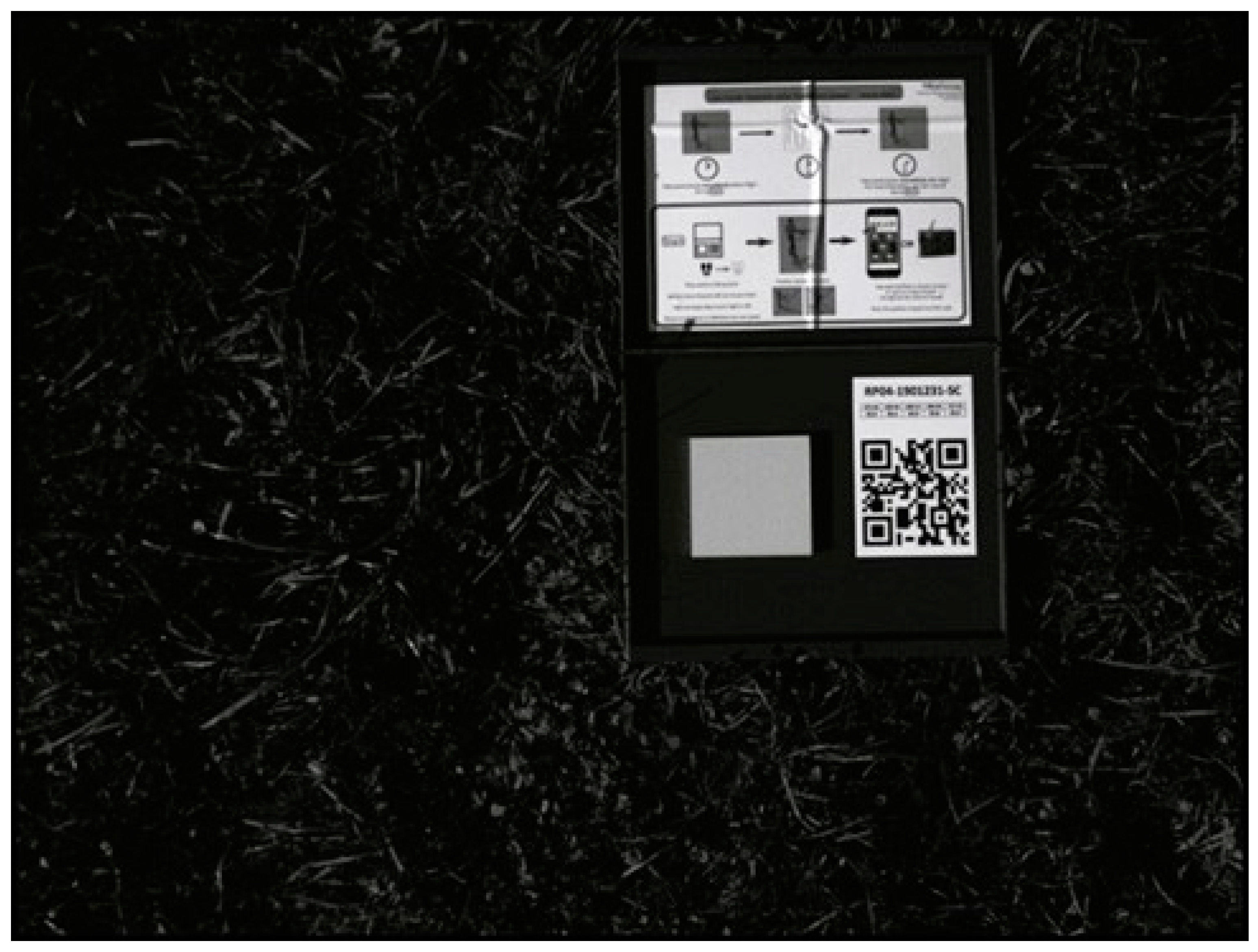 Remotesensing 16 02754 g004