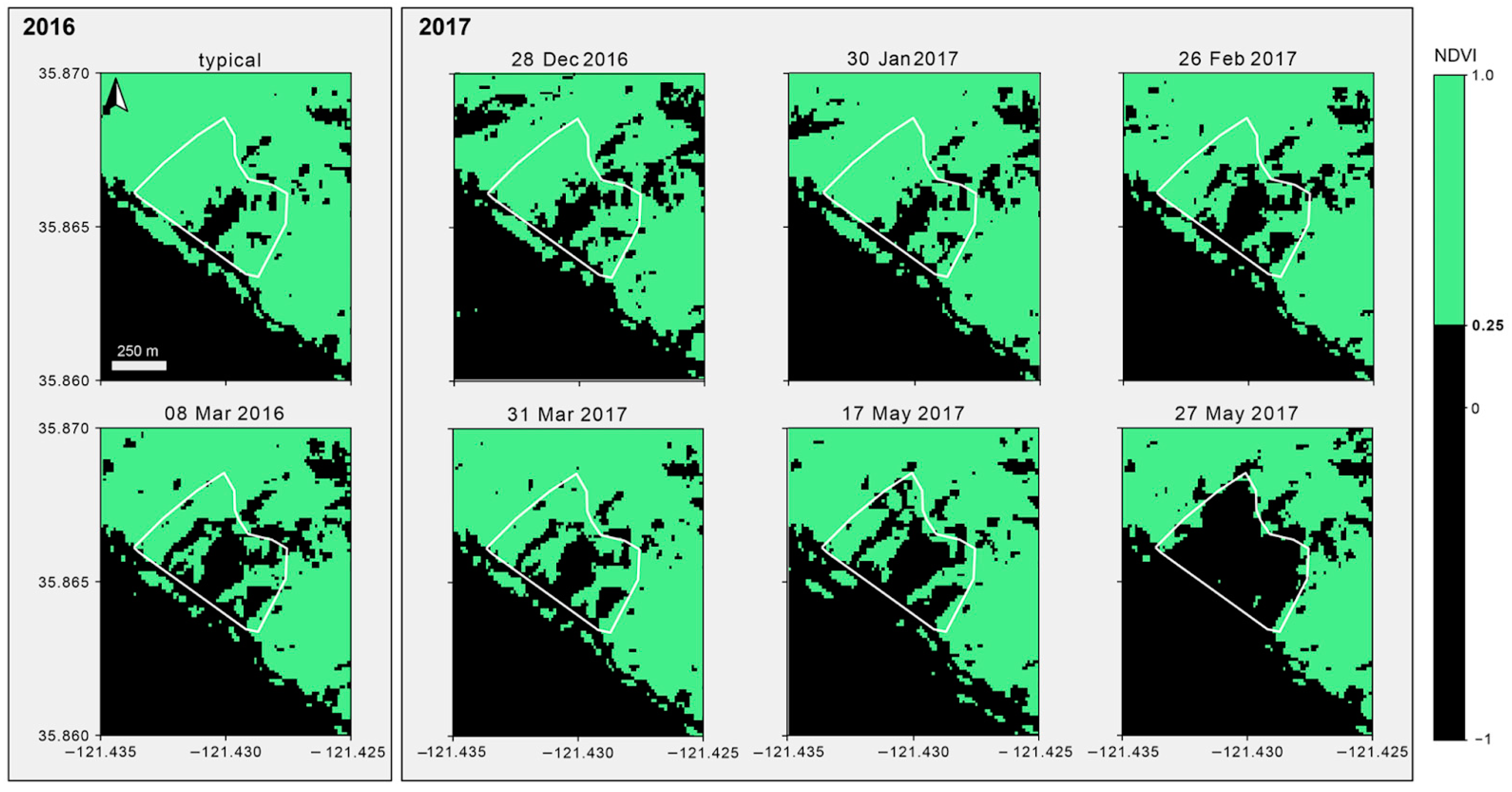 Remotesensing 16 02781 g012