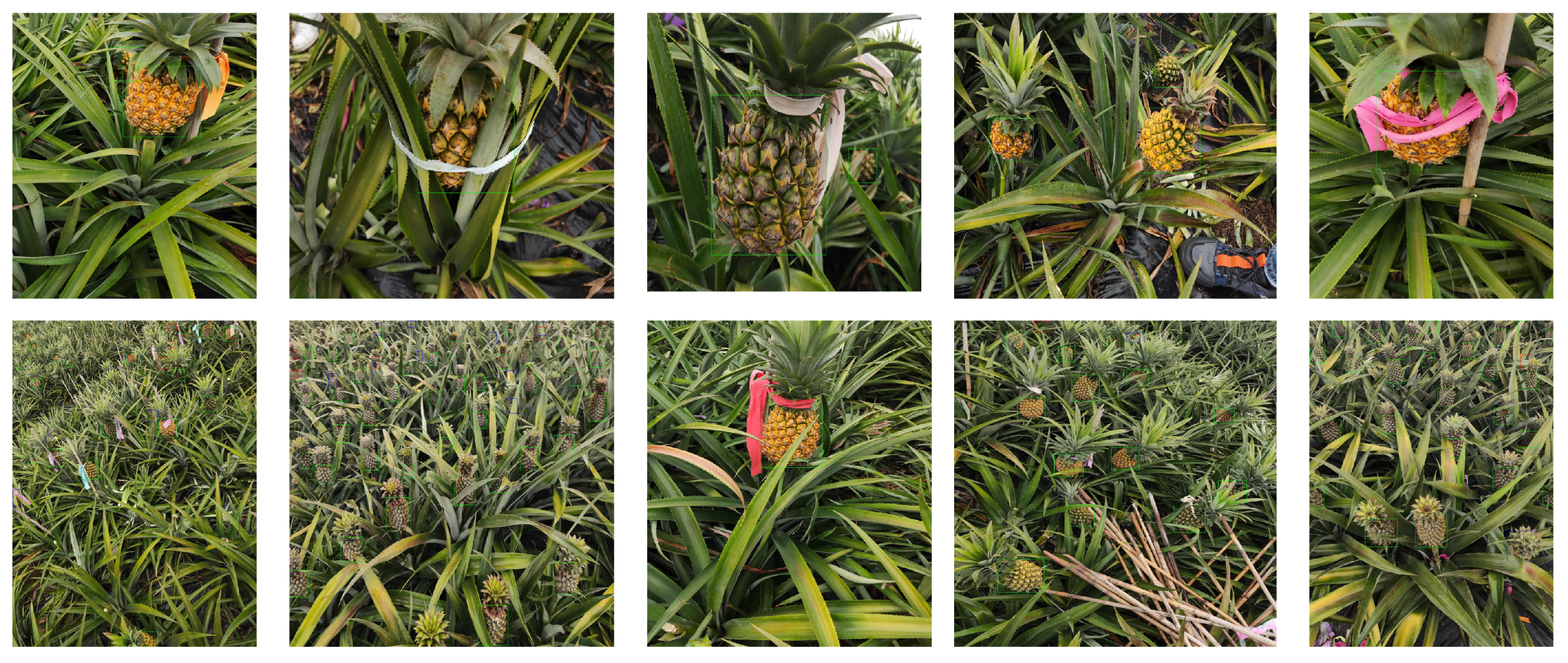 Remotesensing 16 02805 g010