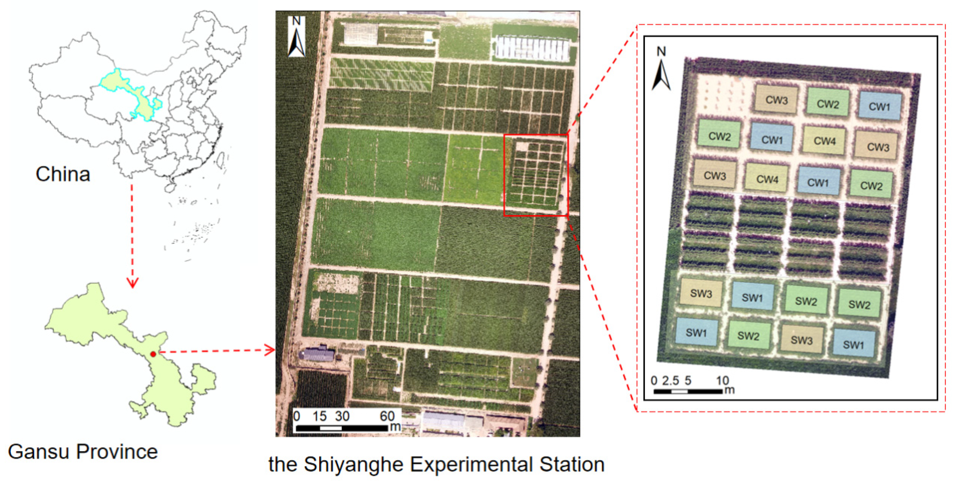 Remotesensing 16 03166 g001