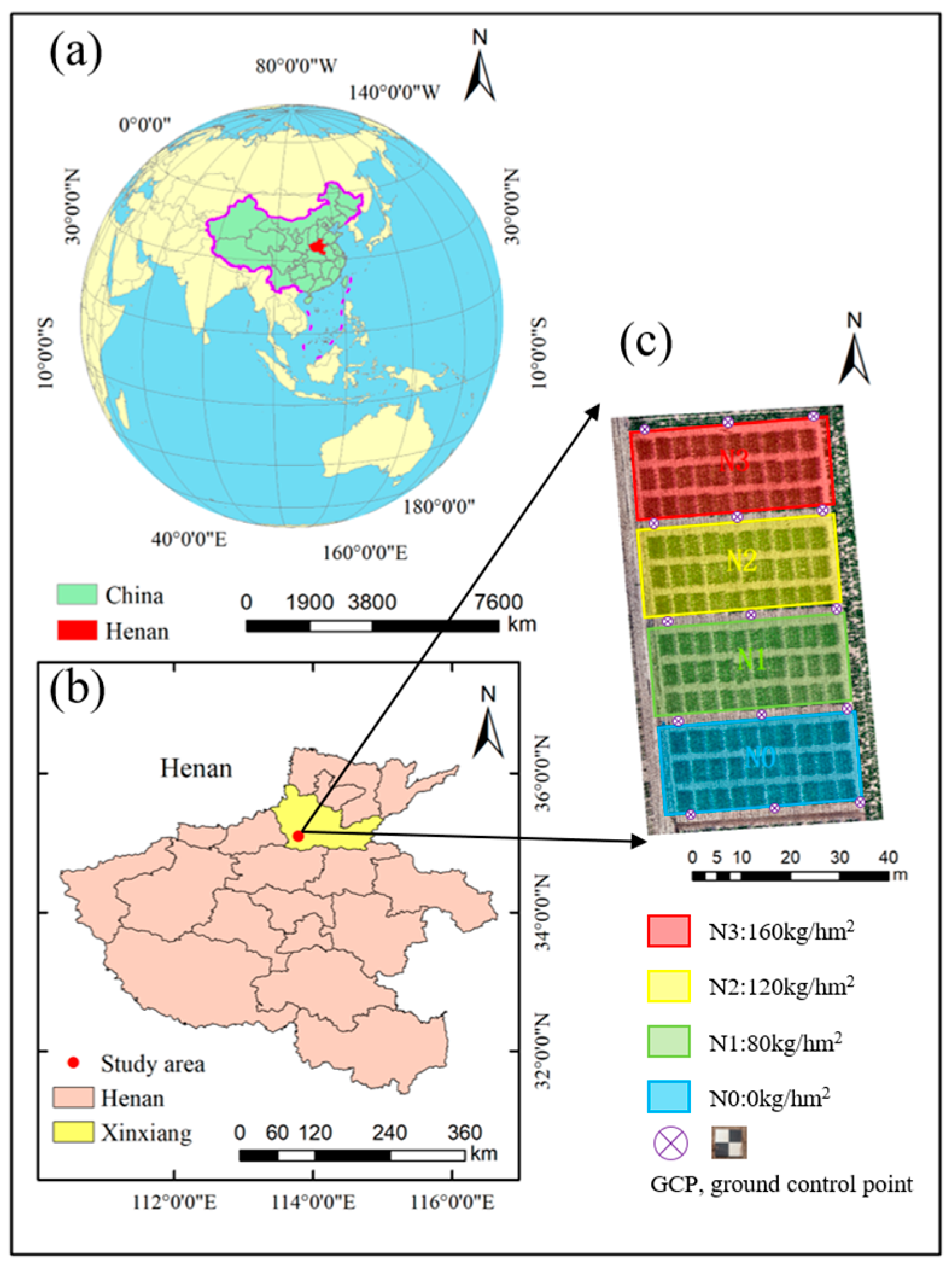 Remotesensing 16 03176 g001