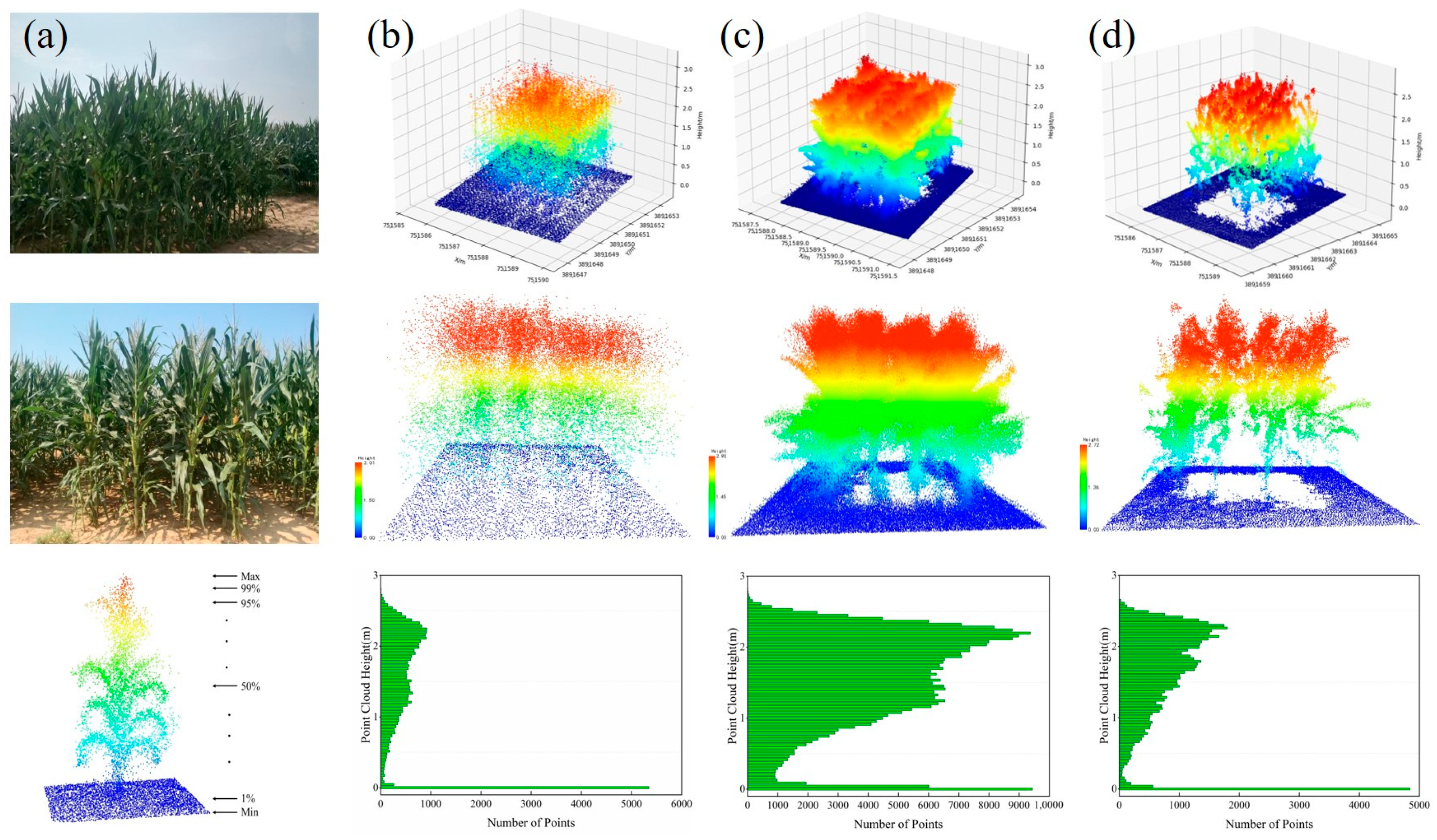 Remotesensing 16 03176 g003