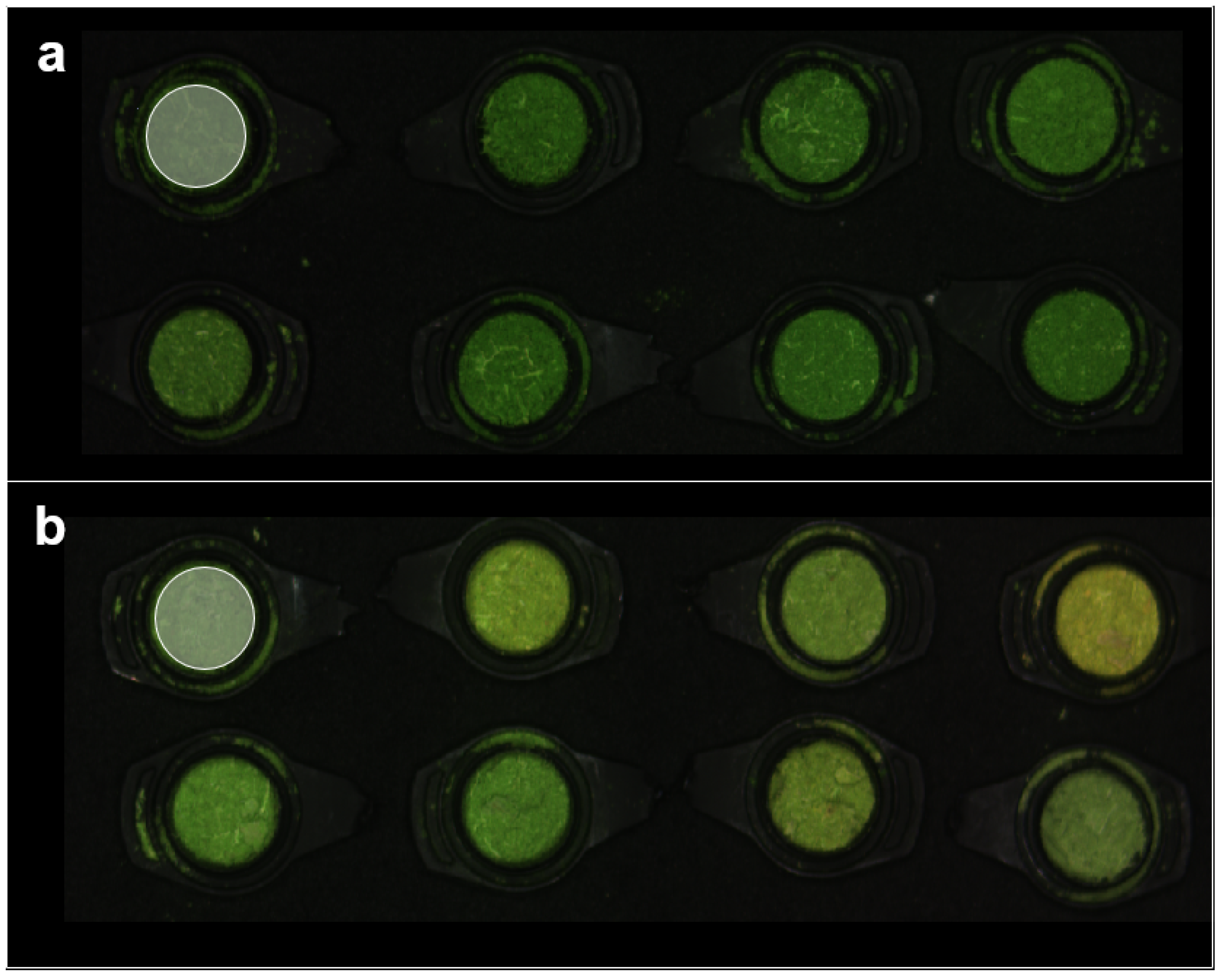 Remotesensing 16 03389 g003