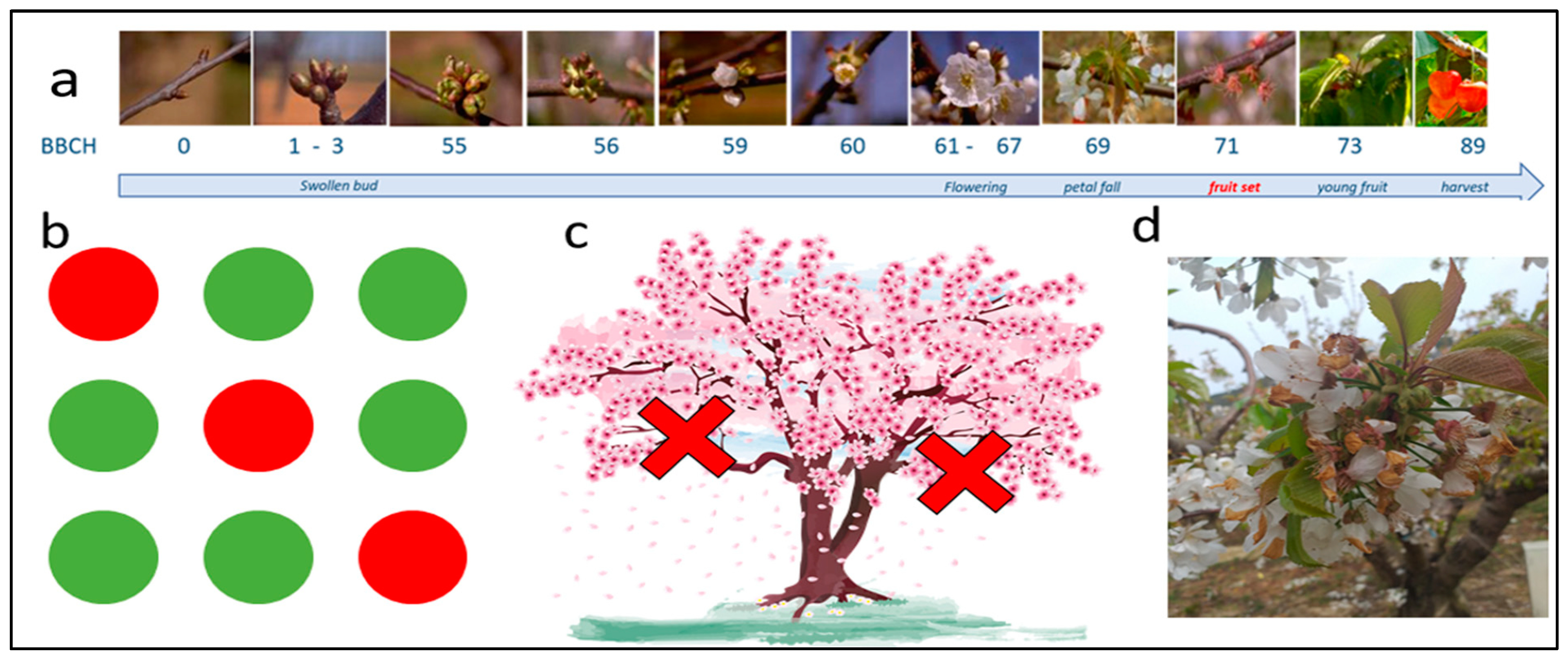 Remotesensing 16 03393 g004