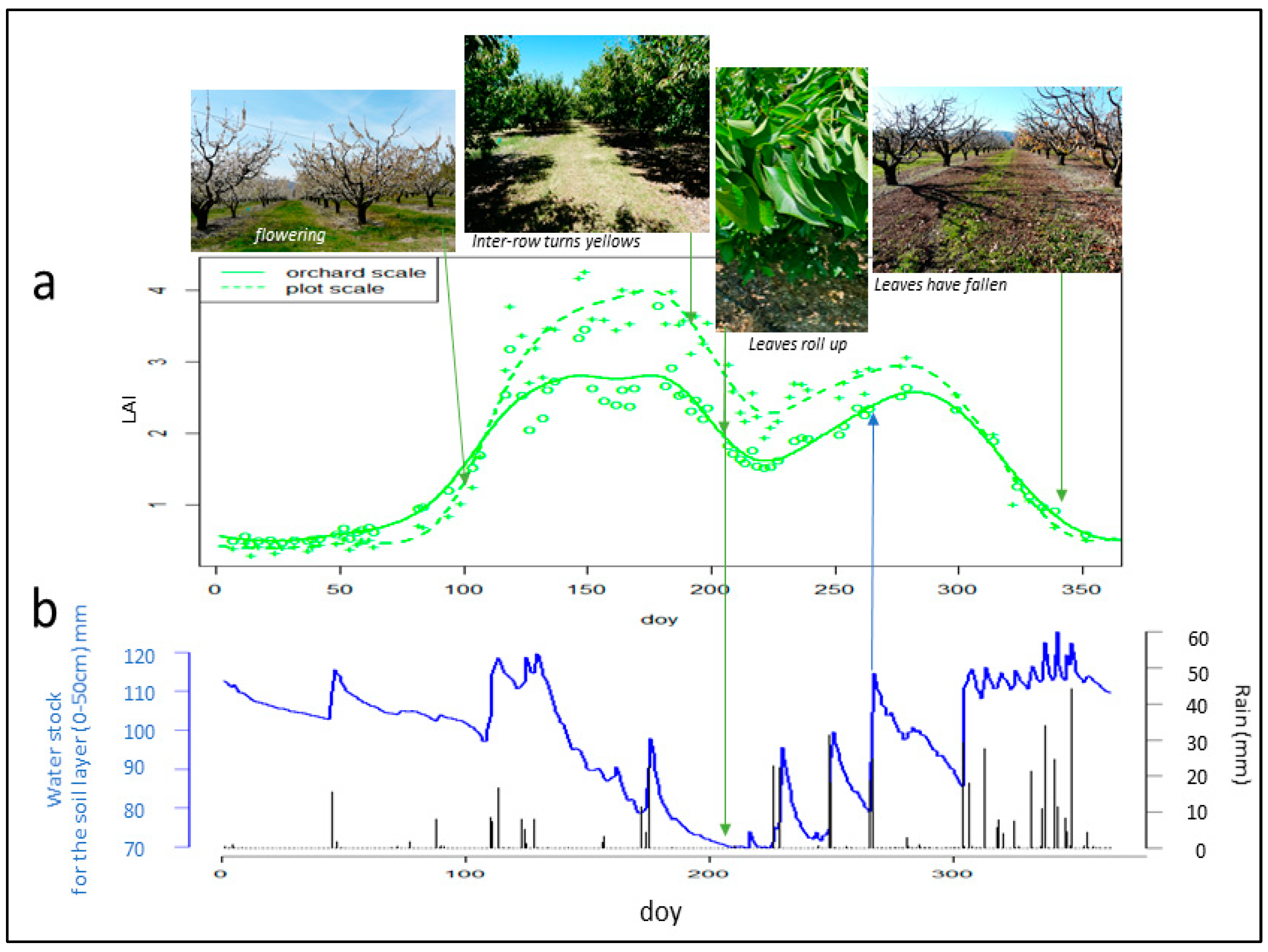 Remotesensing 16 03393 g010
