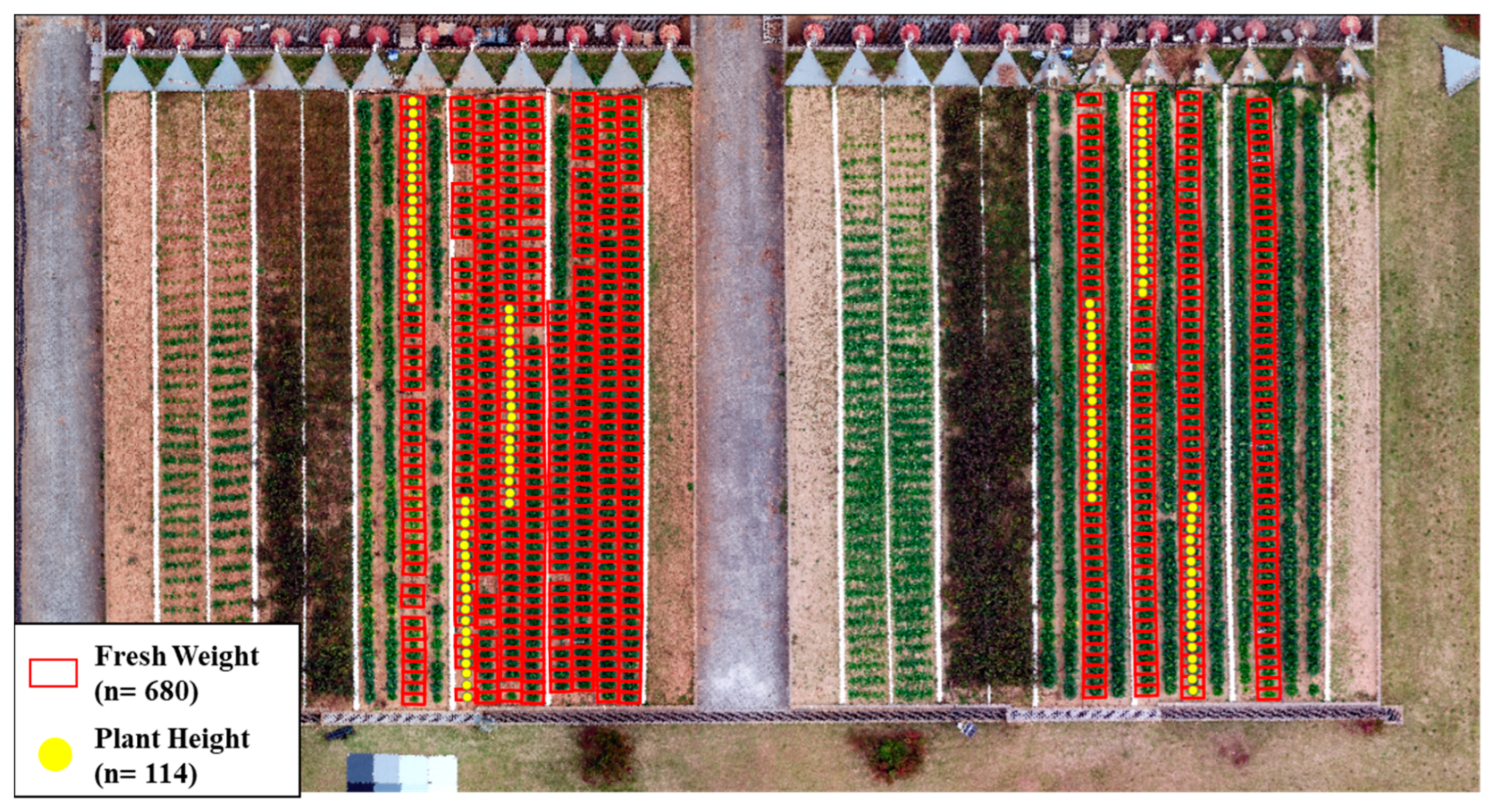 Remotesensing 16 03455 g006