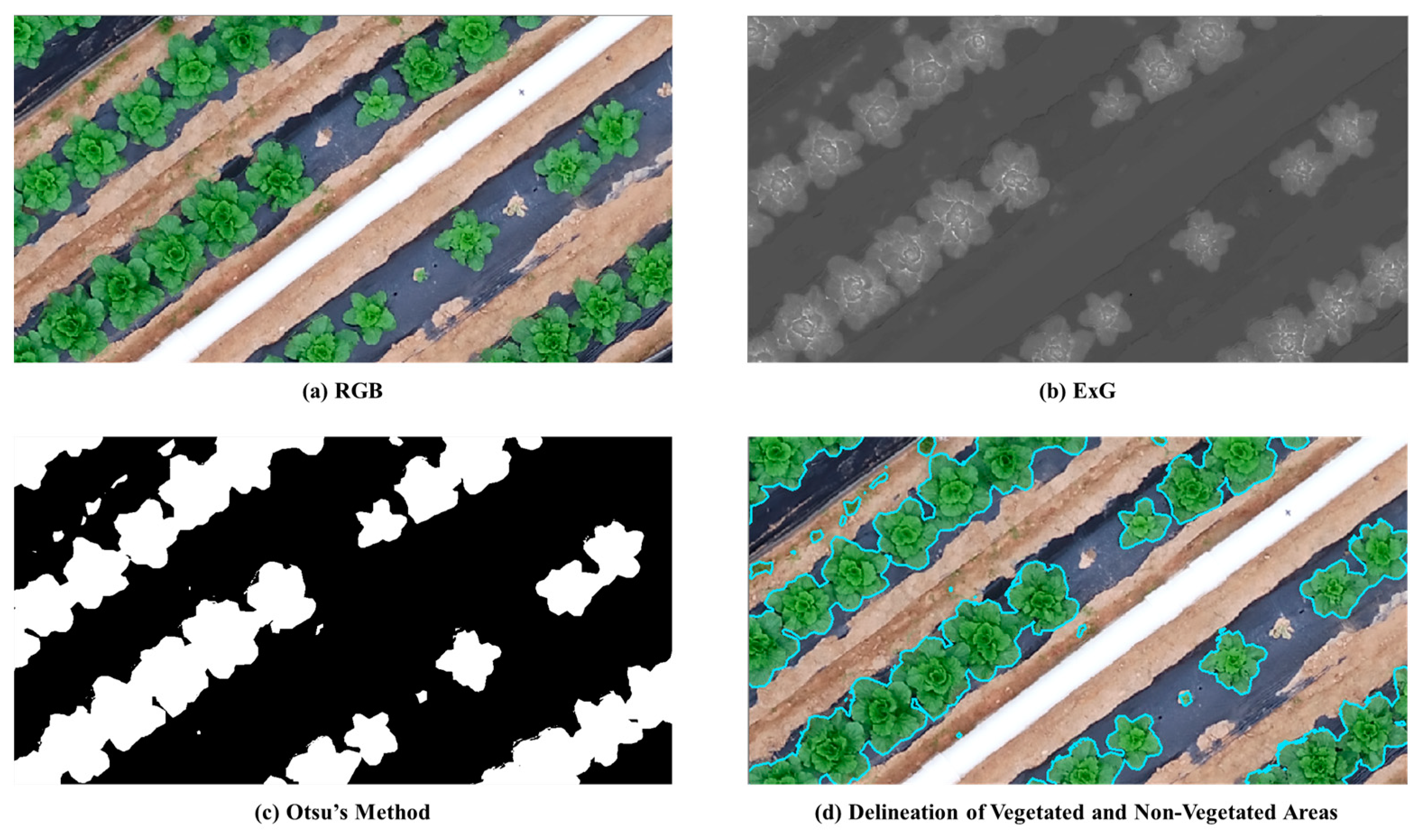 Remotesensing 16 03455 g007