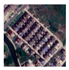 Remotesensing 16 03513 i003