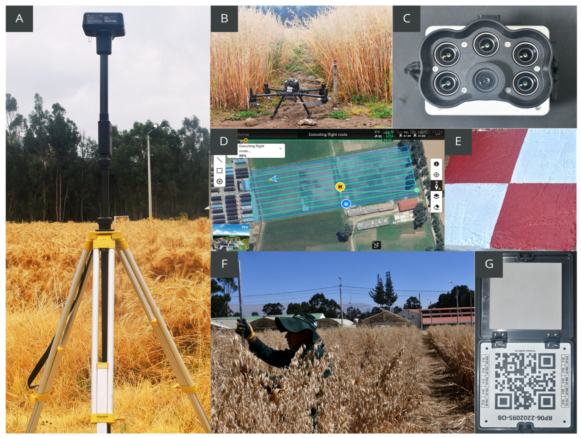 Remotesensing 16 03720 g003