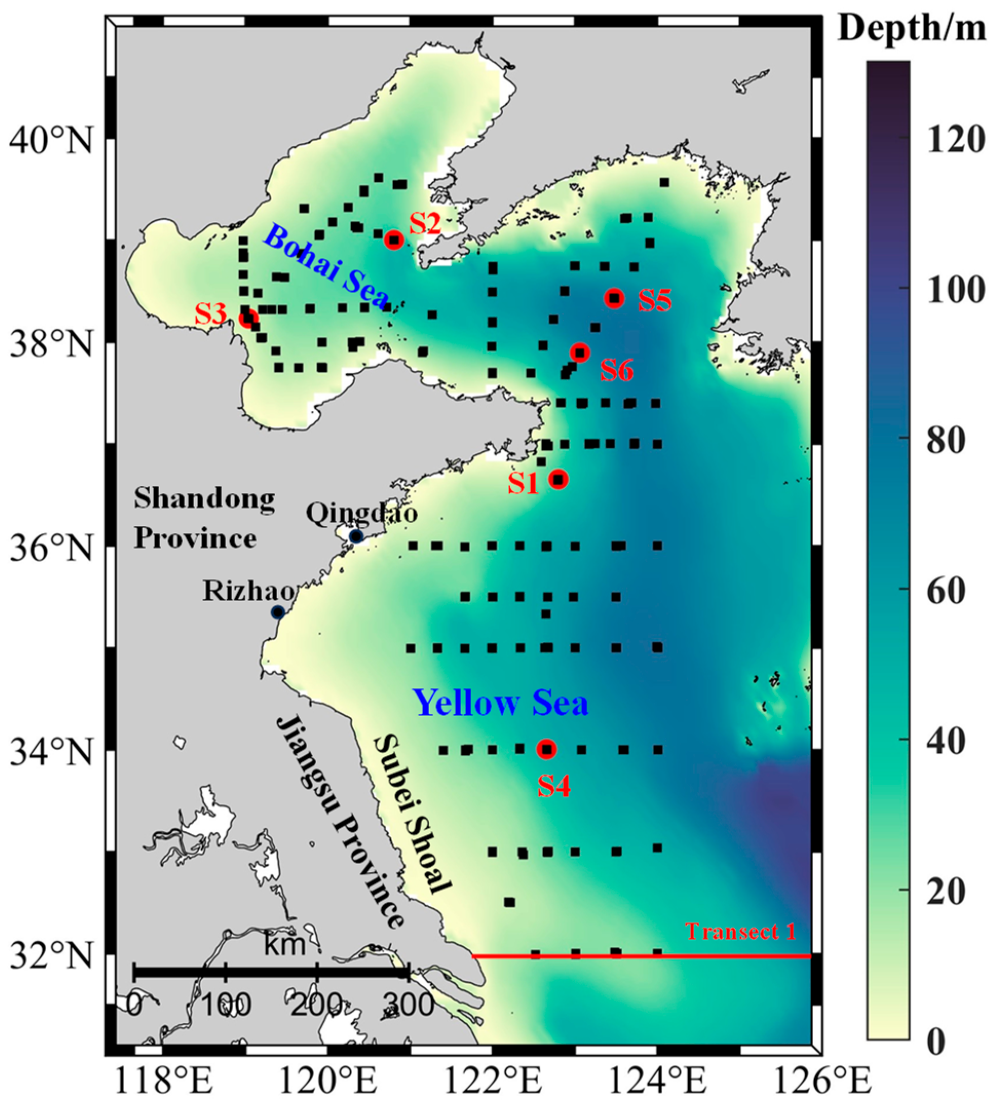 Remotesensing 16 03736 g001