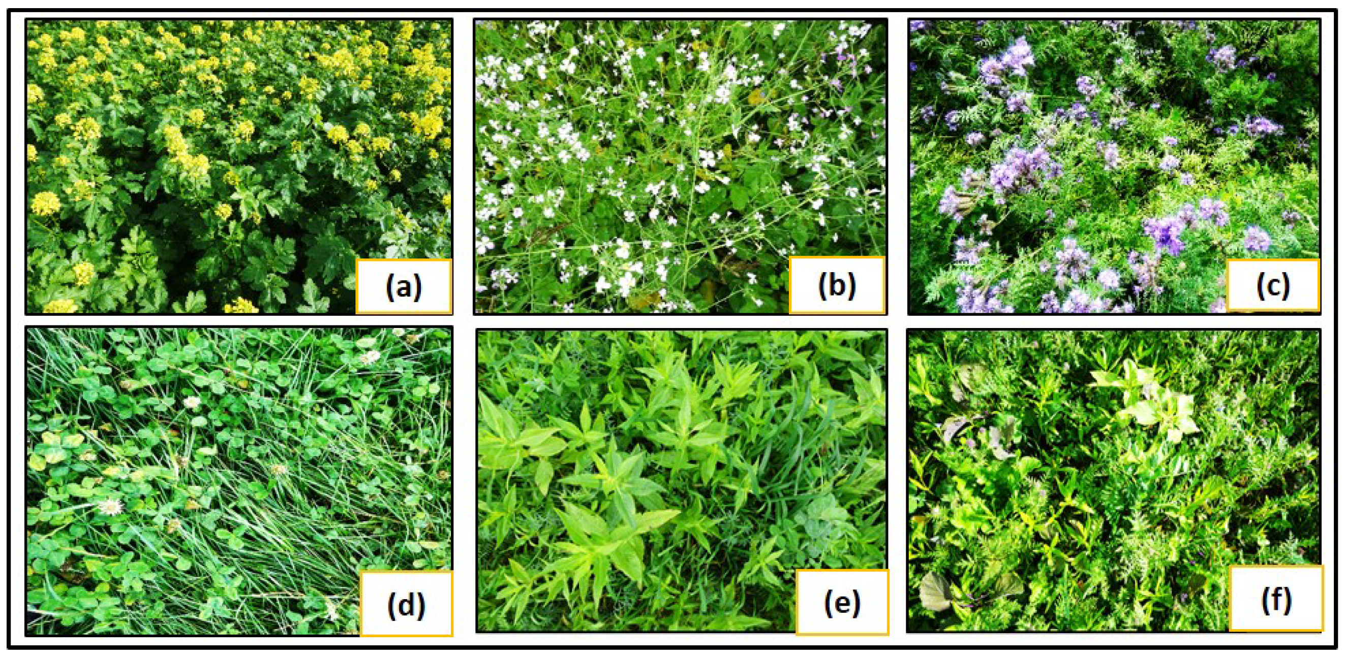 Remotesensing 16 03737 g002