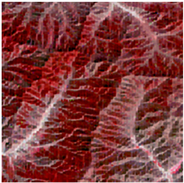 Remotesensing 16 03738 i001