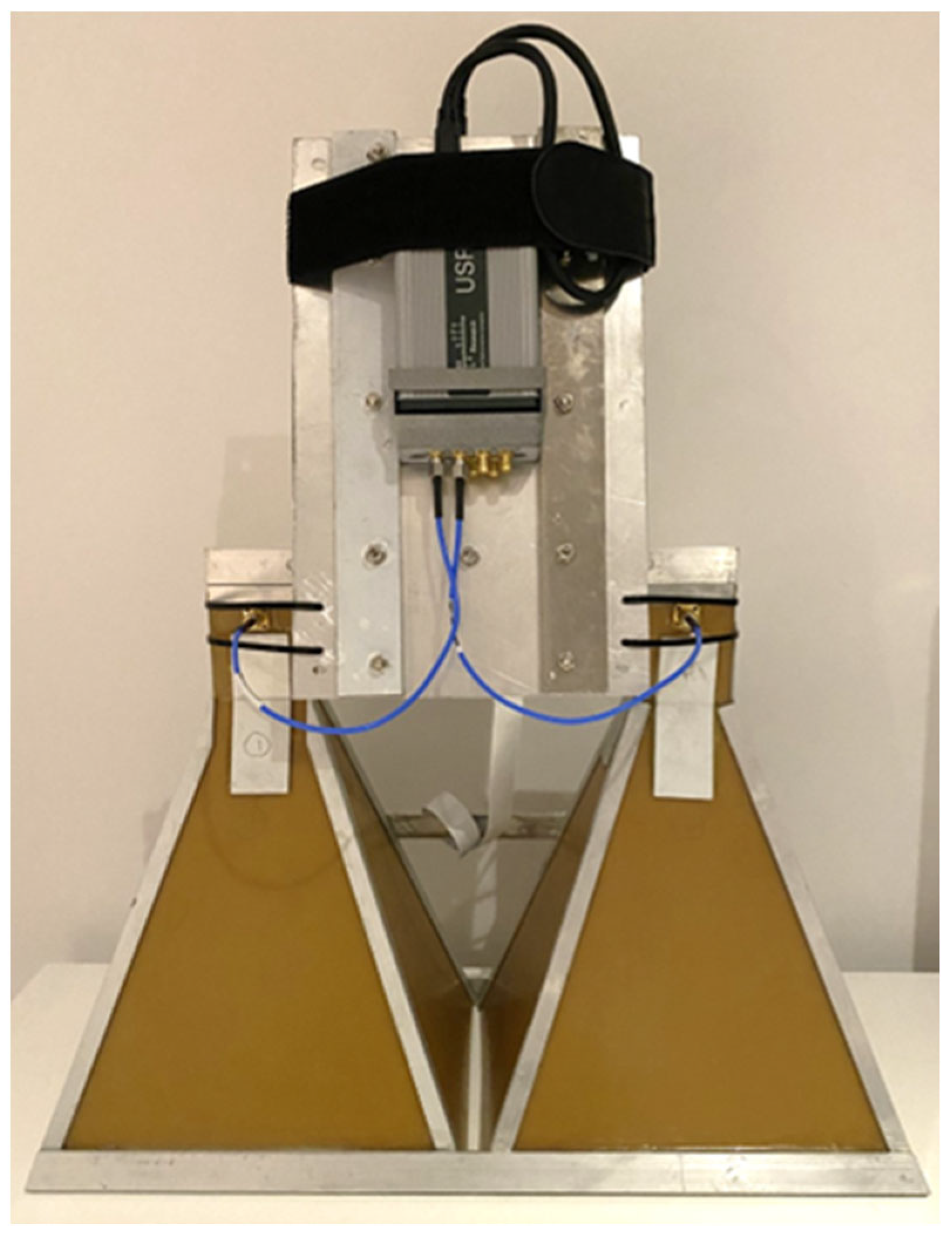 Remotesensing 16 03874 g010