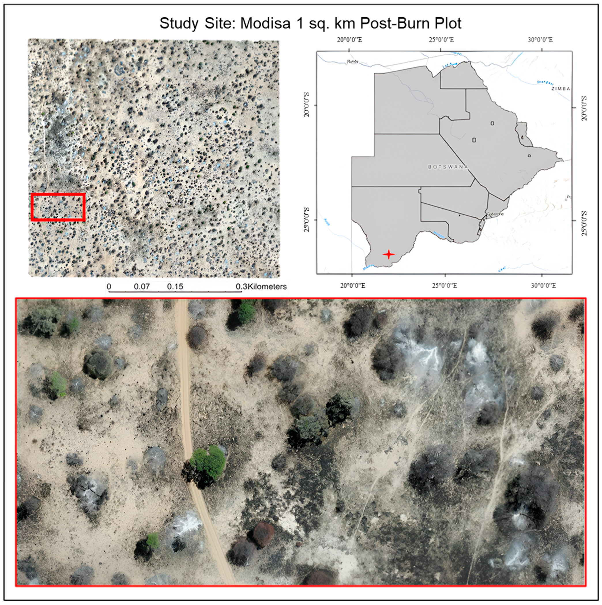 Remotesensing 16 03943 g002