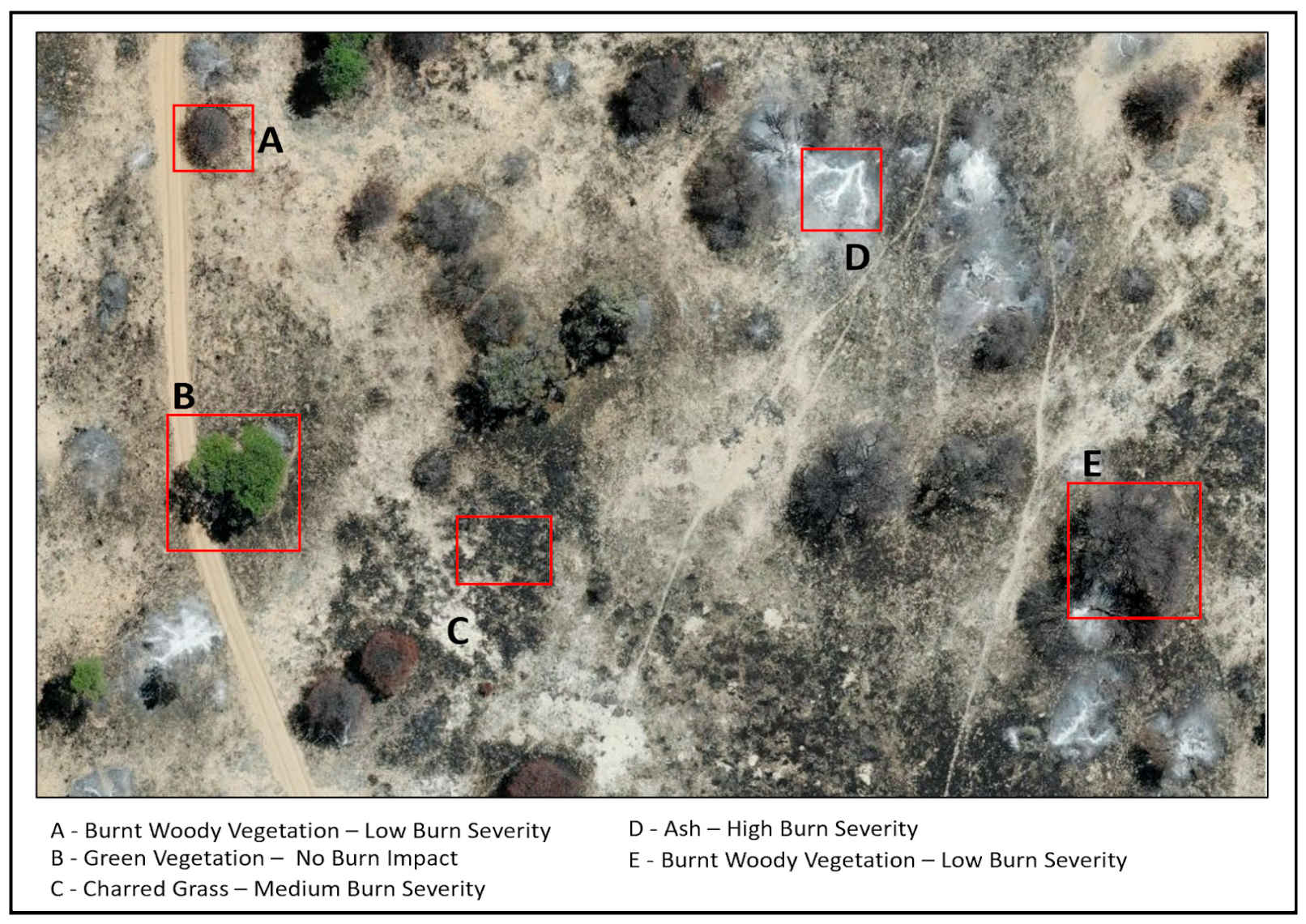 Remotesensing 16 03943 g004