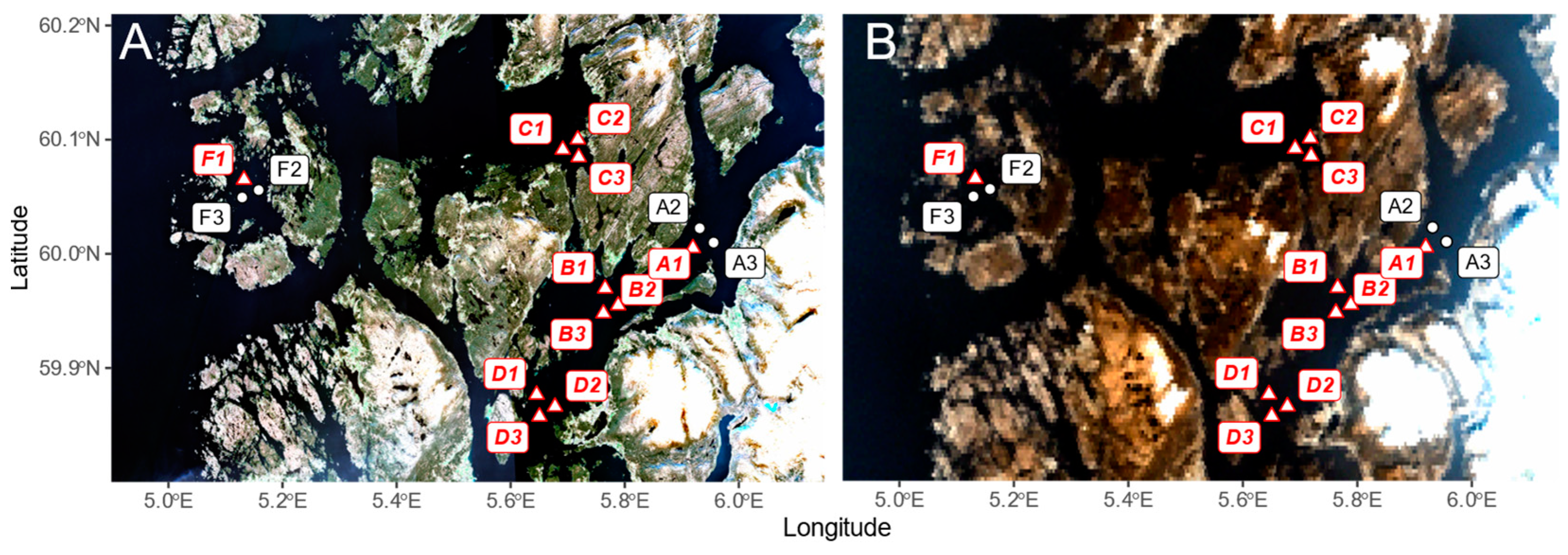 Remotesensing 16 04082 g003