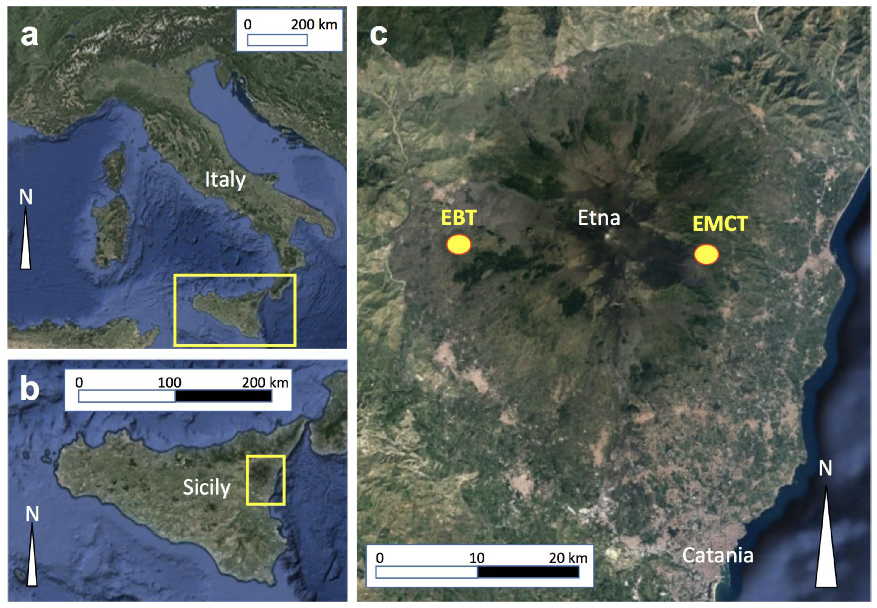 Remotesensing 16 04278 g002