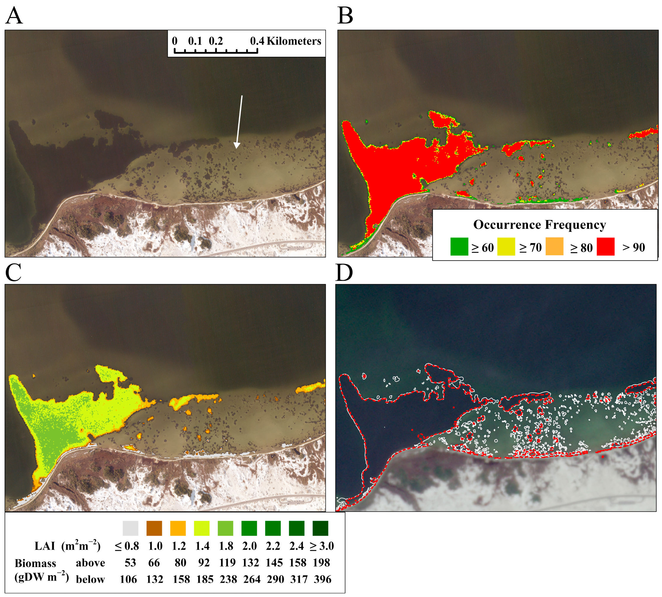 Remotesensing 16 04351 g010 Remotesensing 16 04351 g010