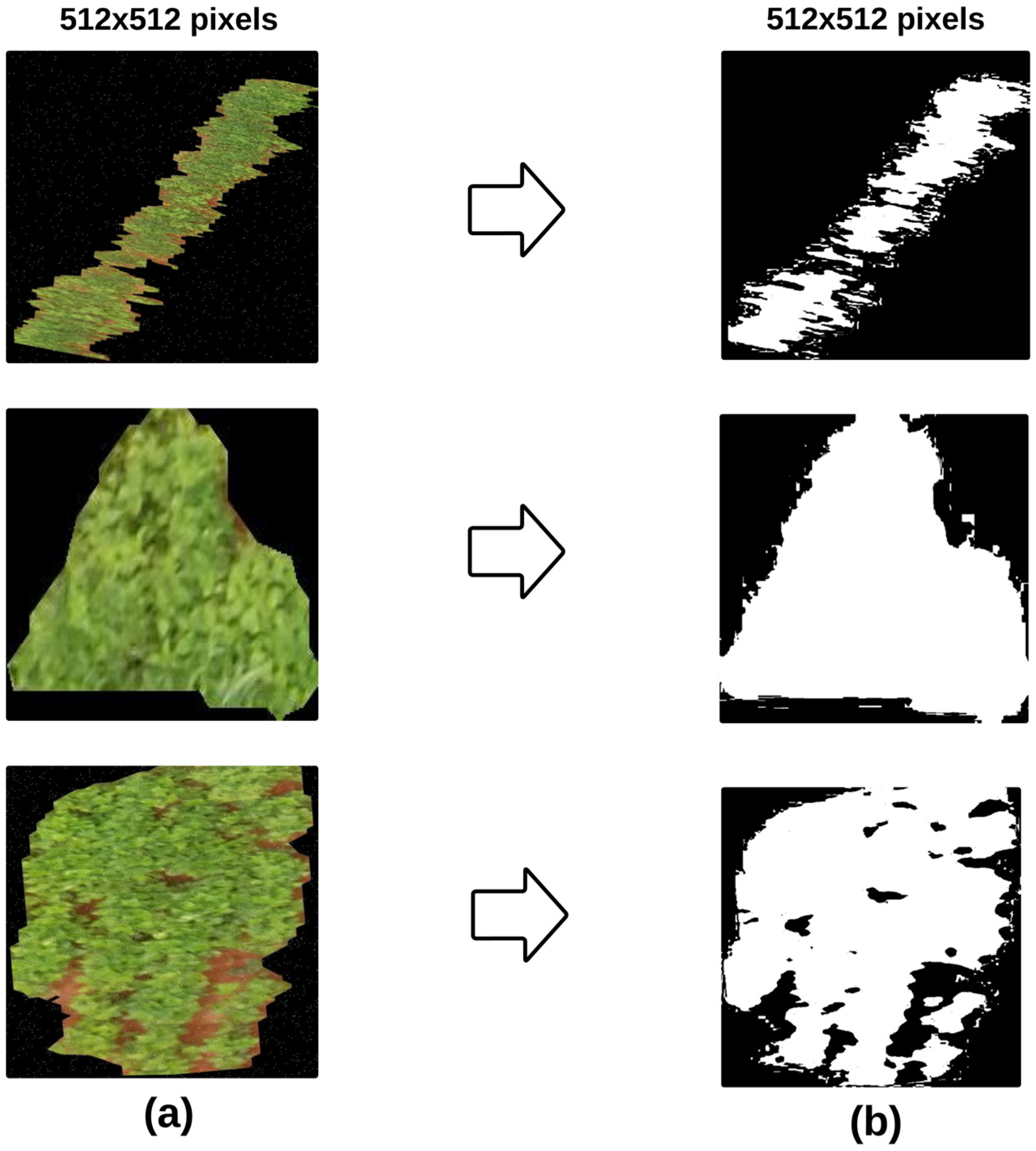 Remotesensing 16 04394 g006