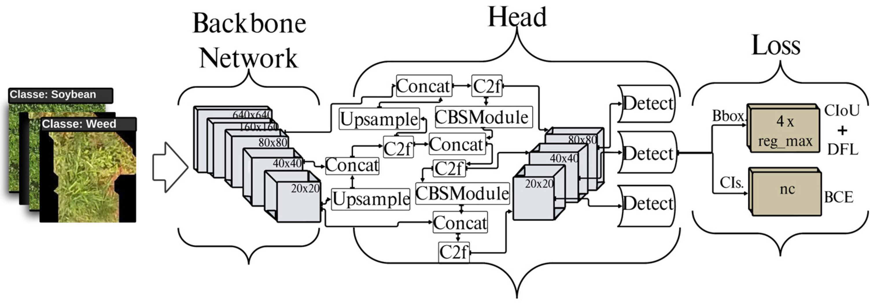 Remotesensing 16 04394 g007