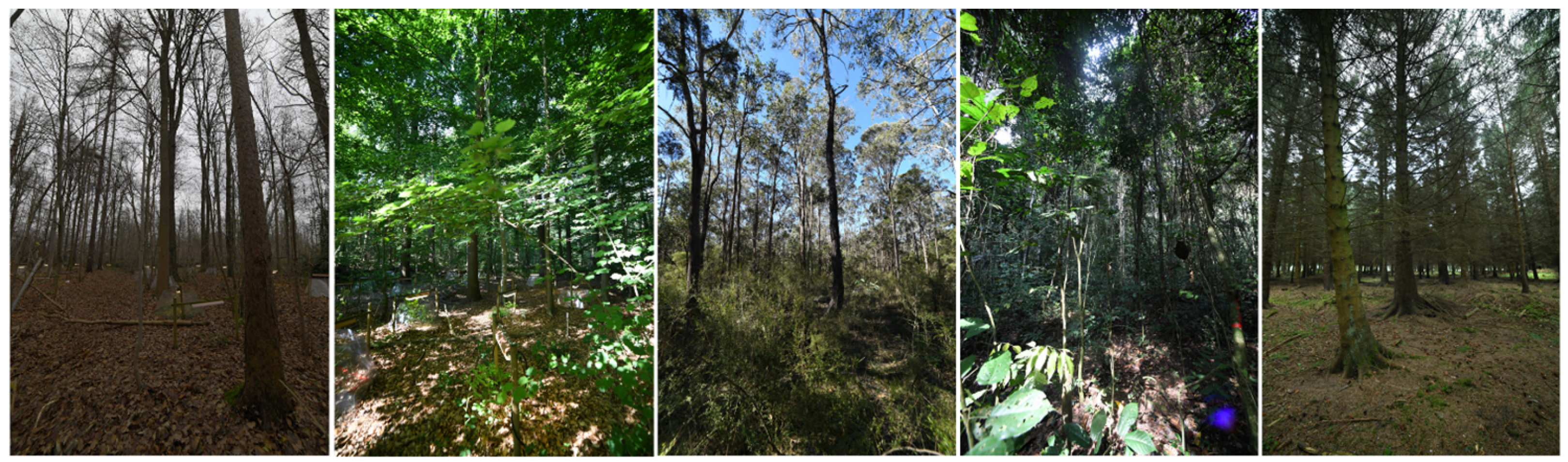 Remotesensing 16 04560 g001