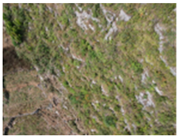 Remotesensing 16 04786 i002