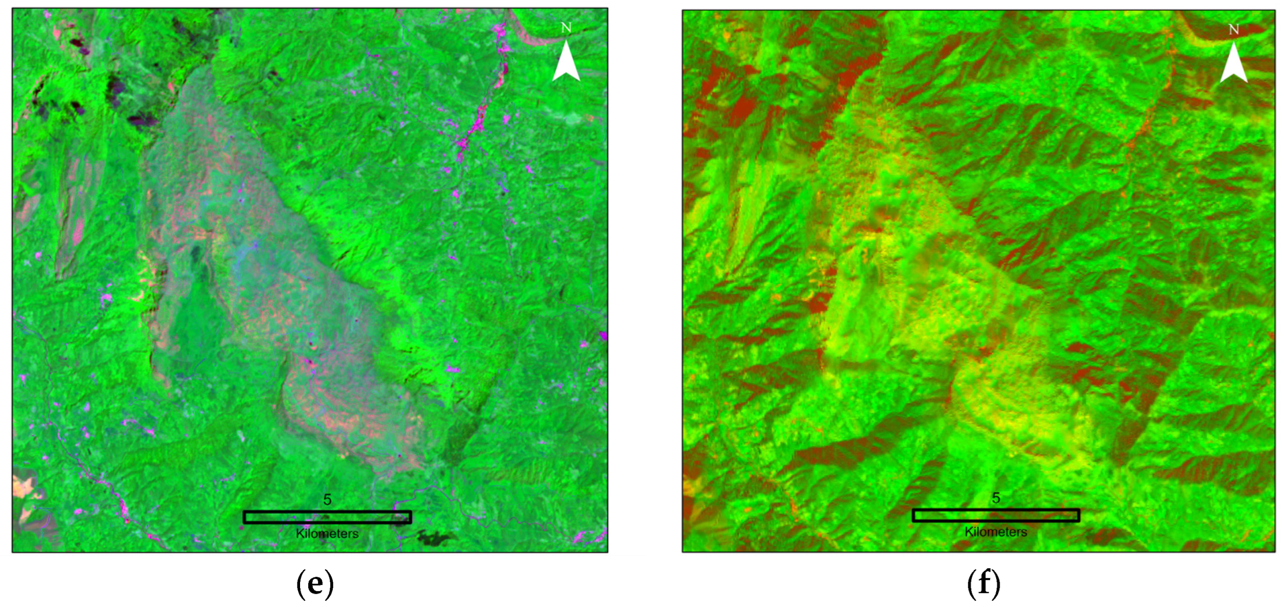 Remotesensing 17 00305 g007b