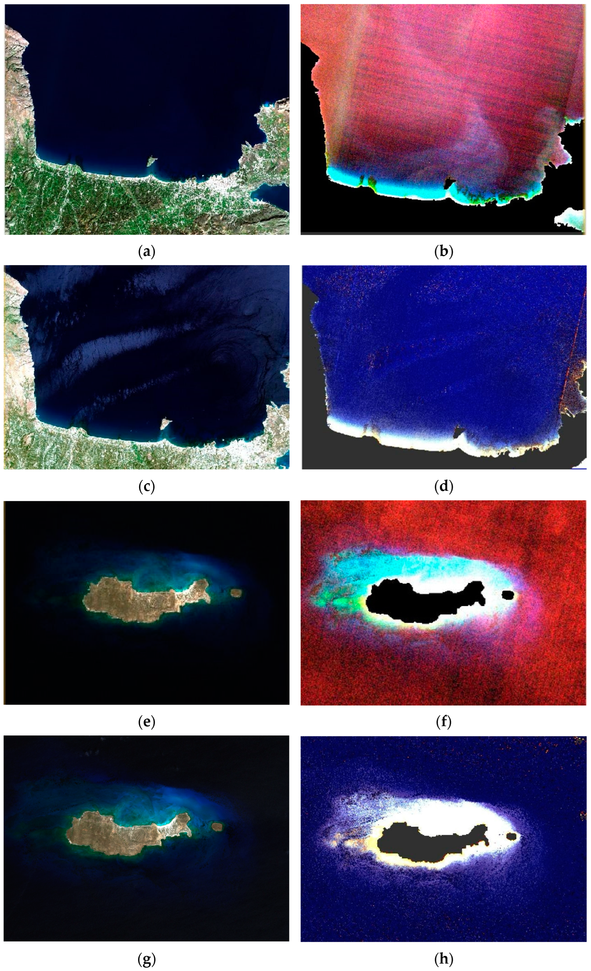 Remotesensing 17 00444 g004