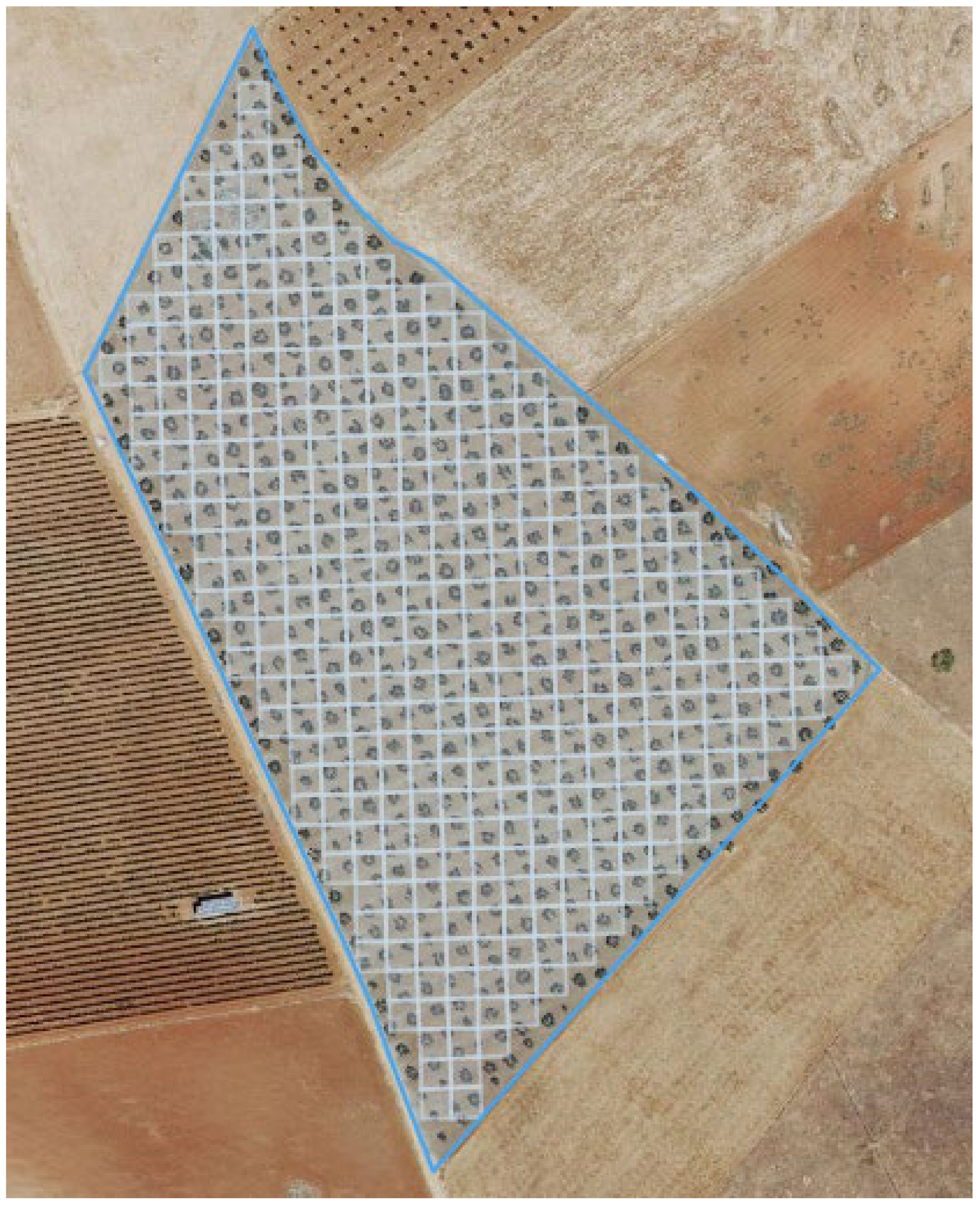 Remotesensing 17 00508 g003