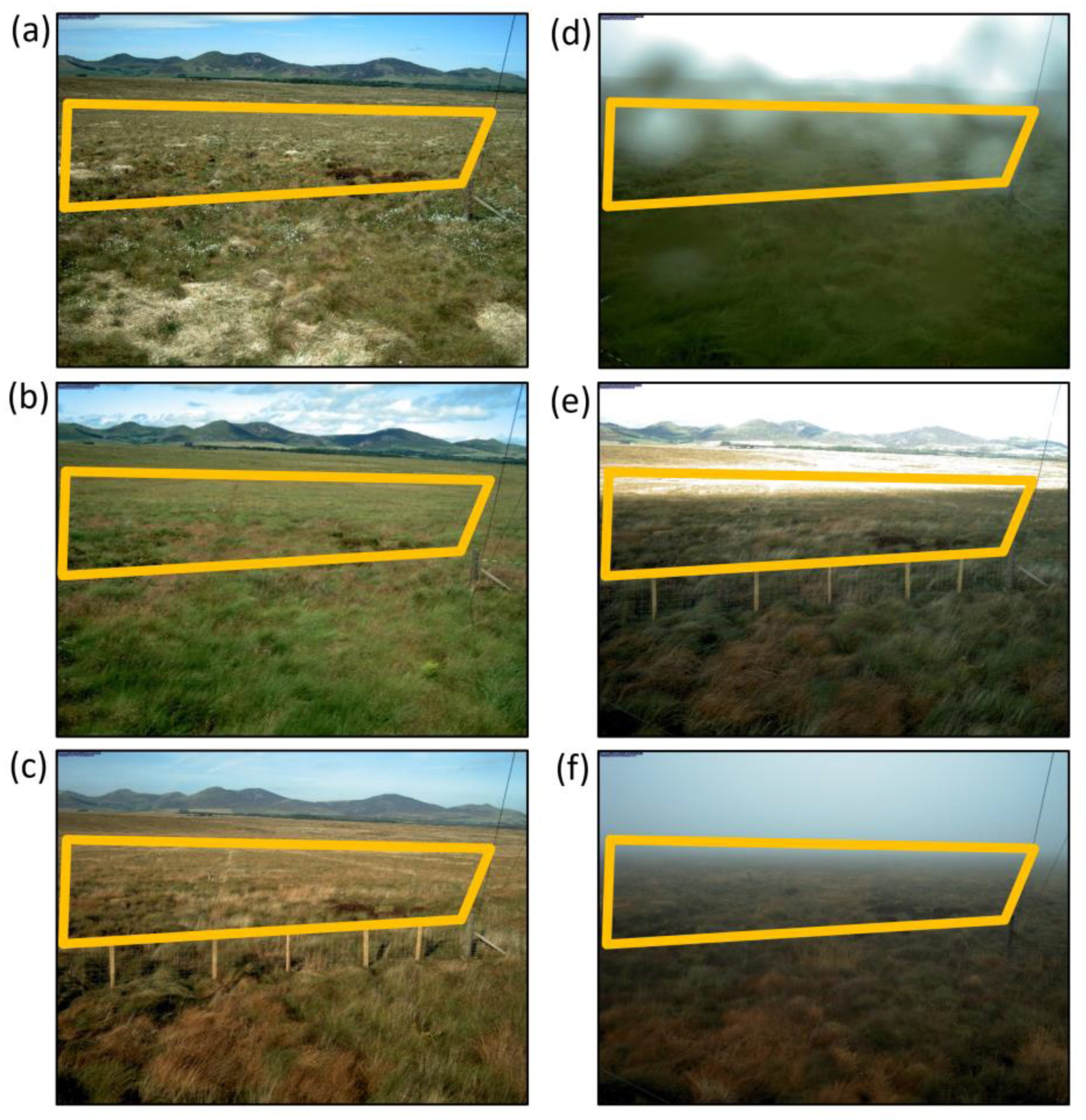 Remotesensing 17 00526 g002