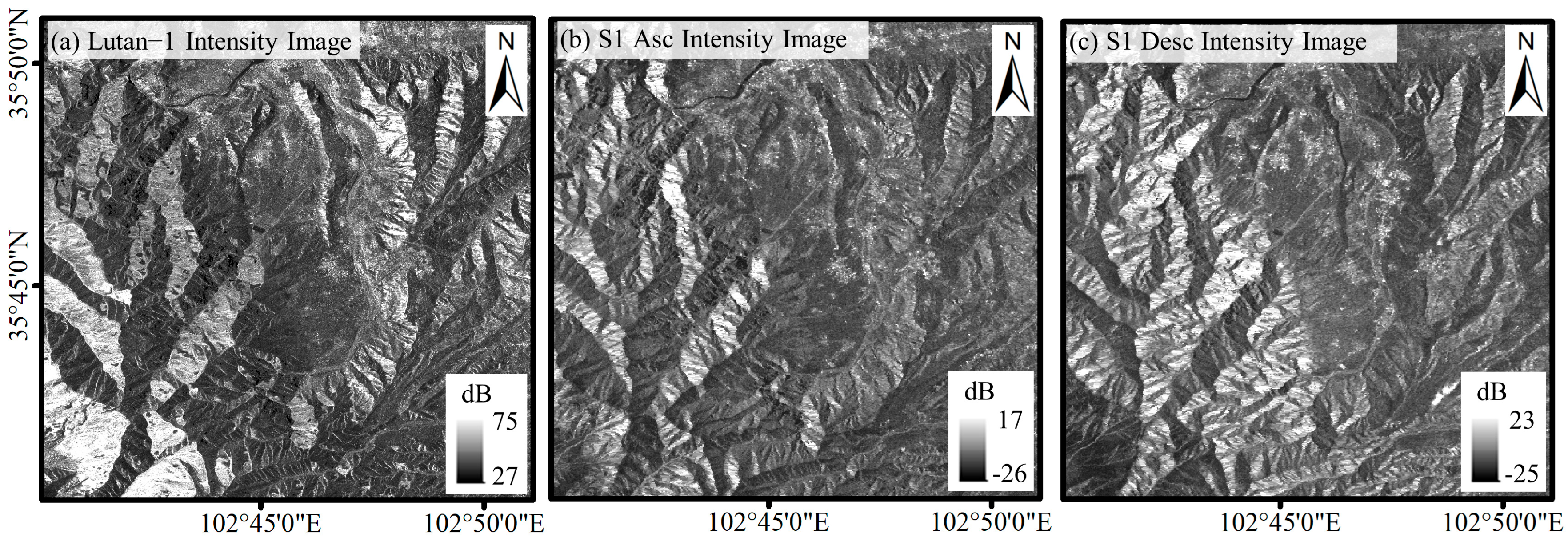 Remotesensing 17 00894 g010