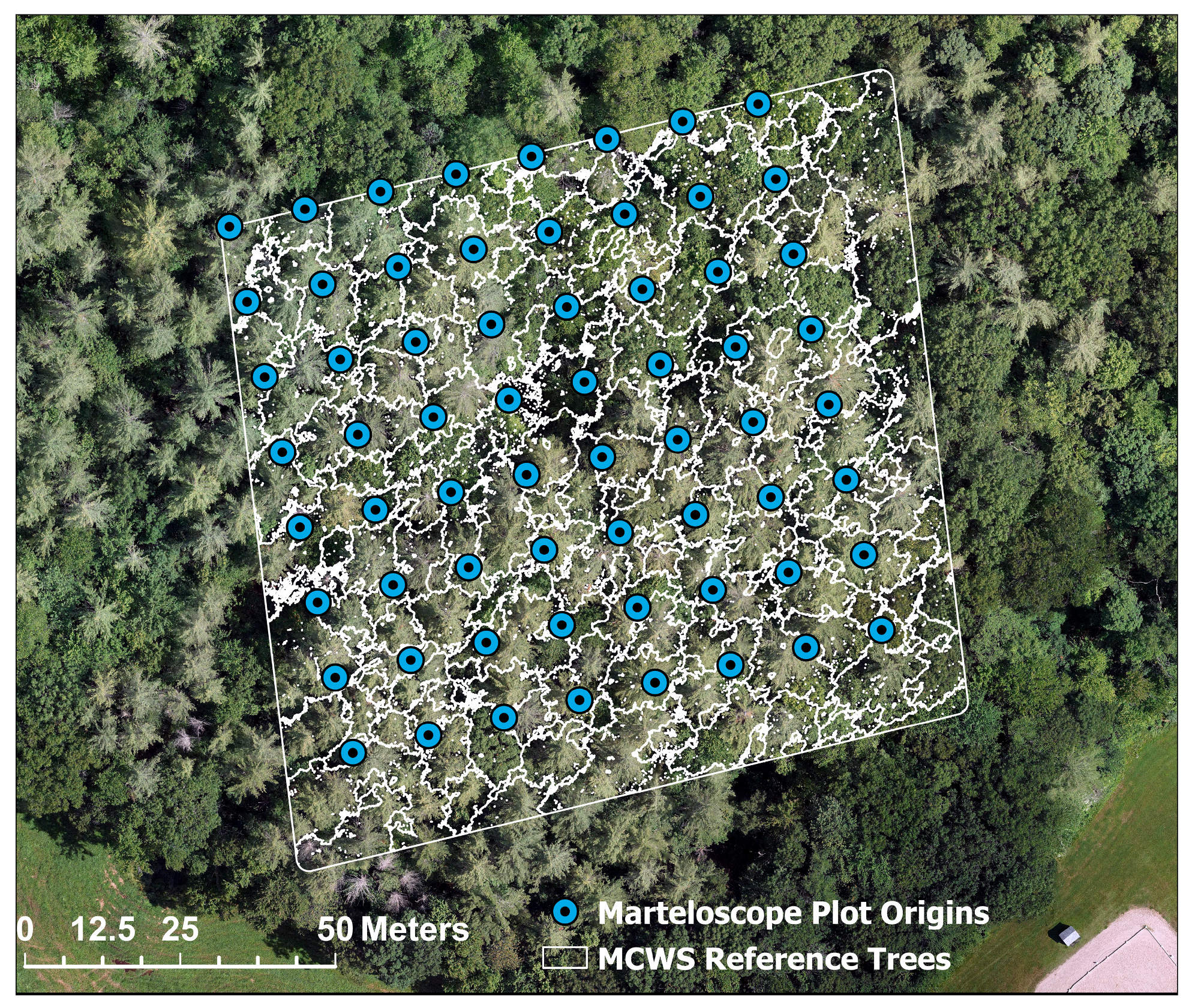 Remotesensing 17 01010 g004