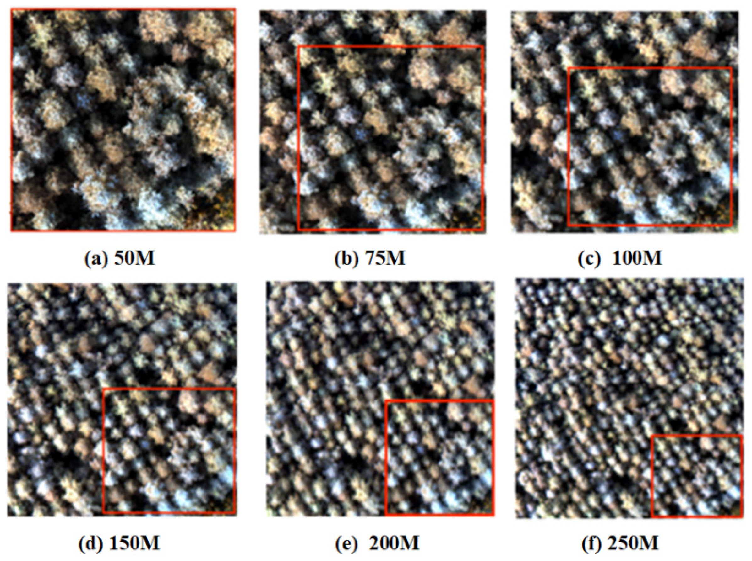 Remotesensing 17 01080 g004