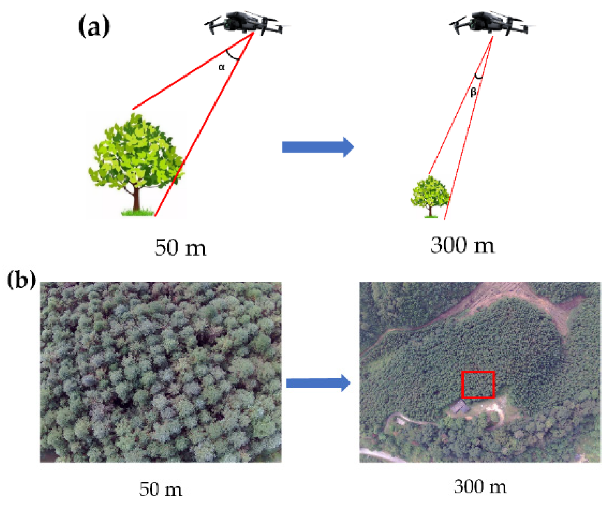 Remotesensing 17 01080 g011