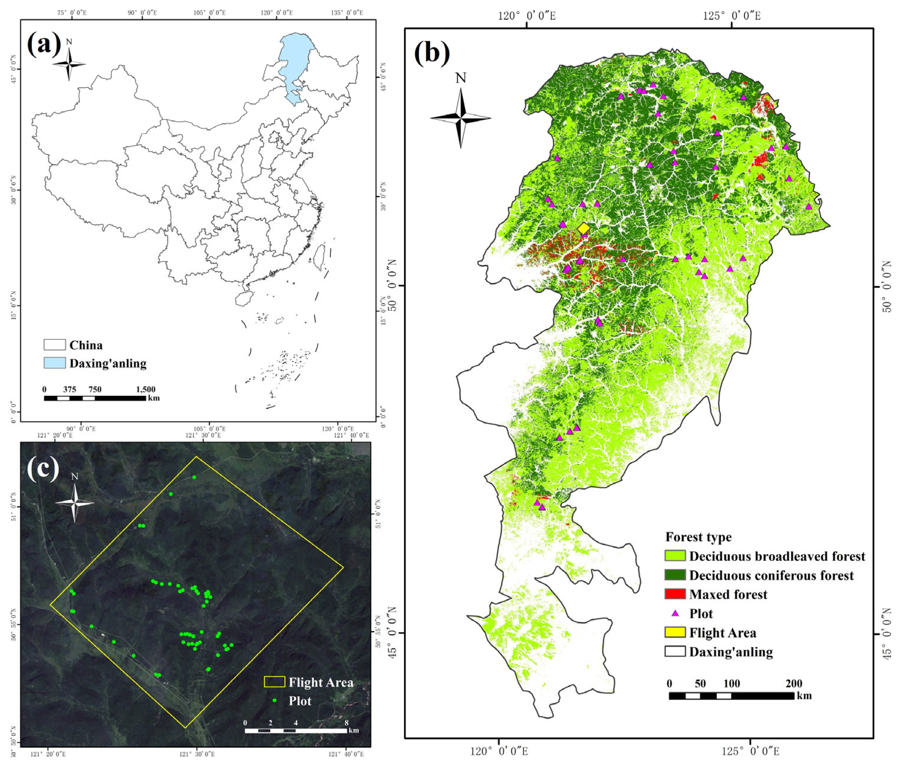 Remotesensing 17 01163 g001