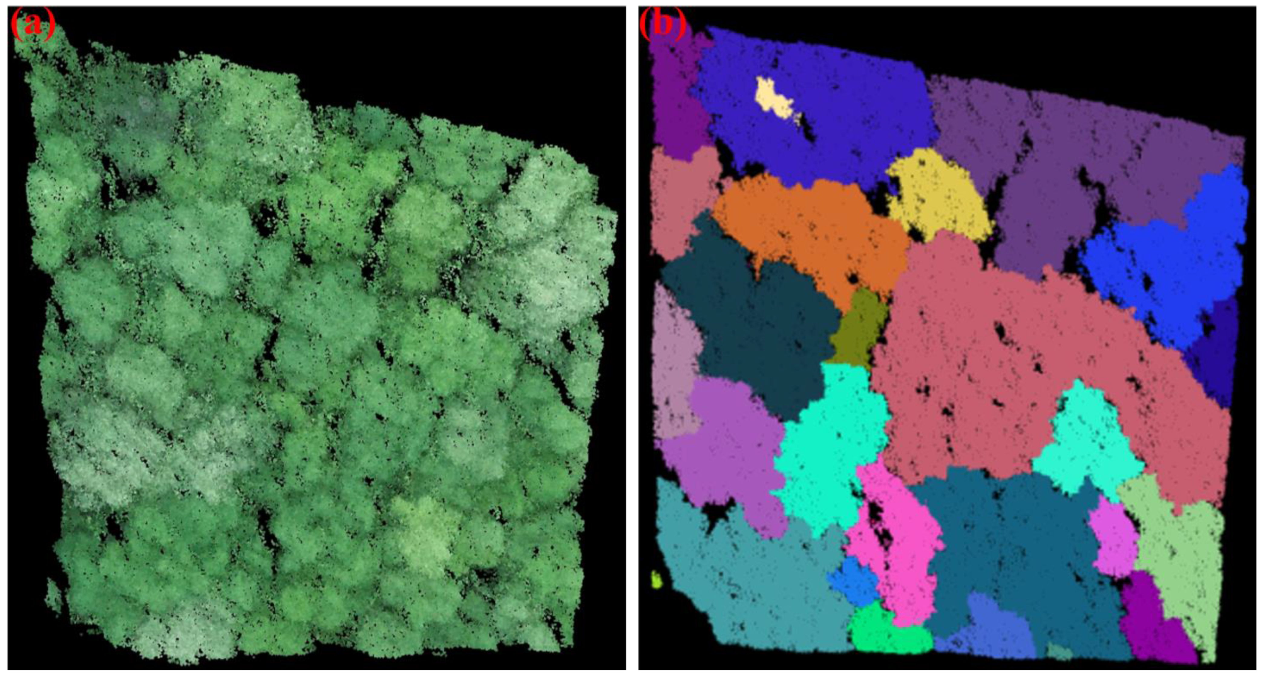 Remotesensing 17 01365 g003