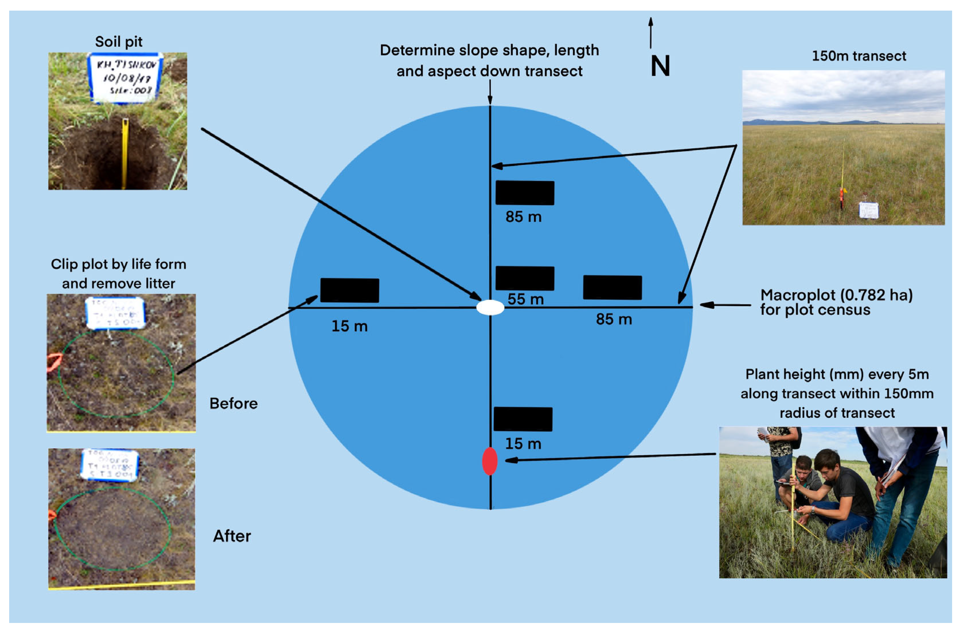 Remotesensing 17 01477 g007