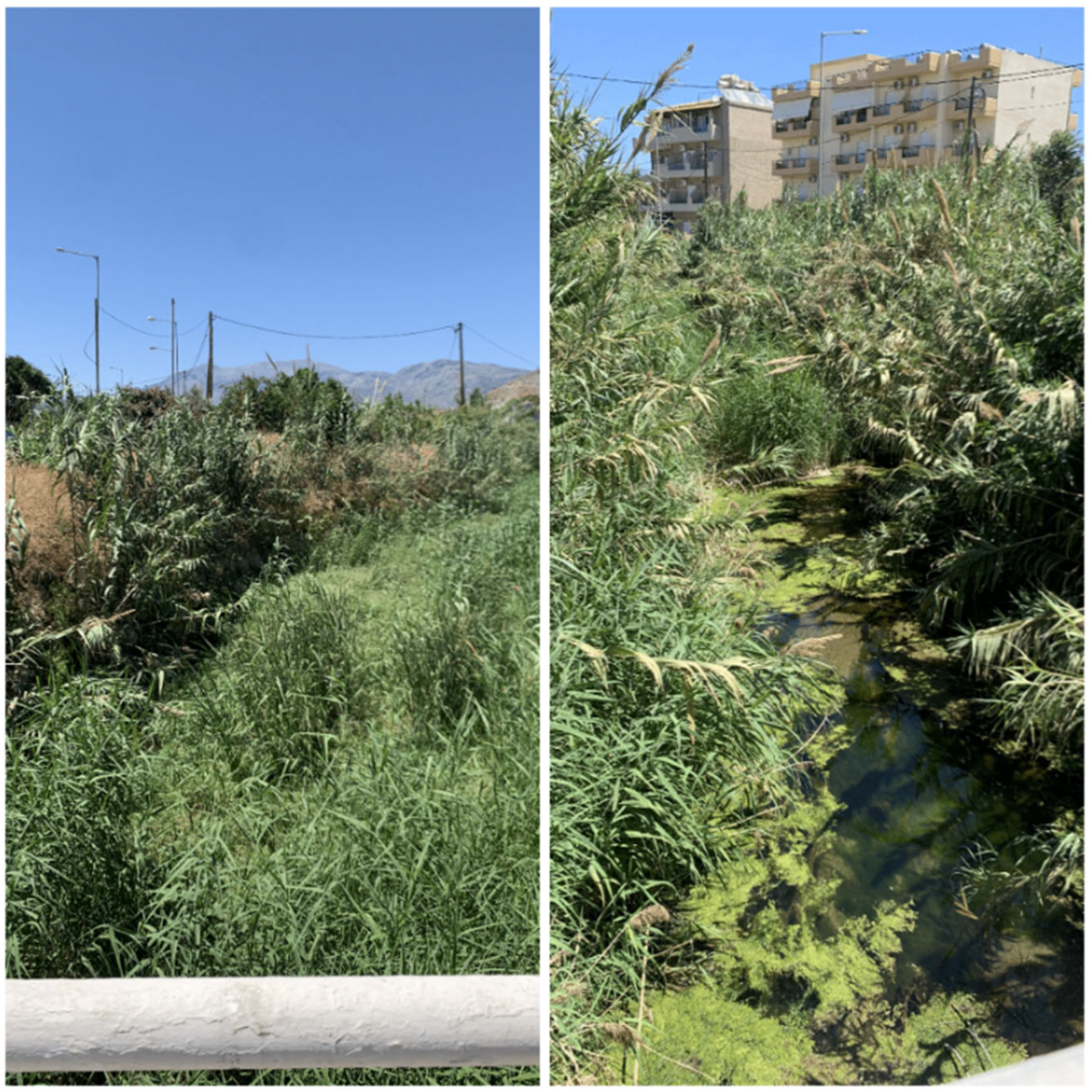 Remotesensing 17 01532 g006