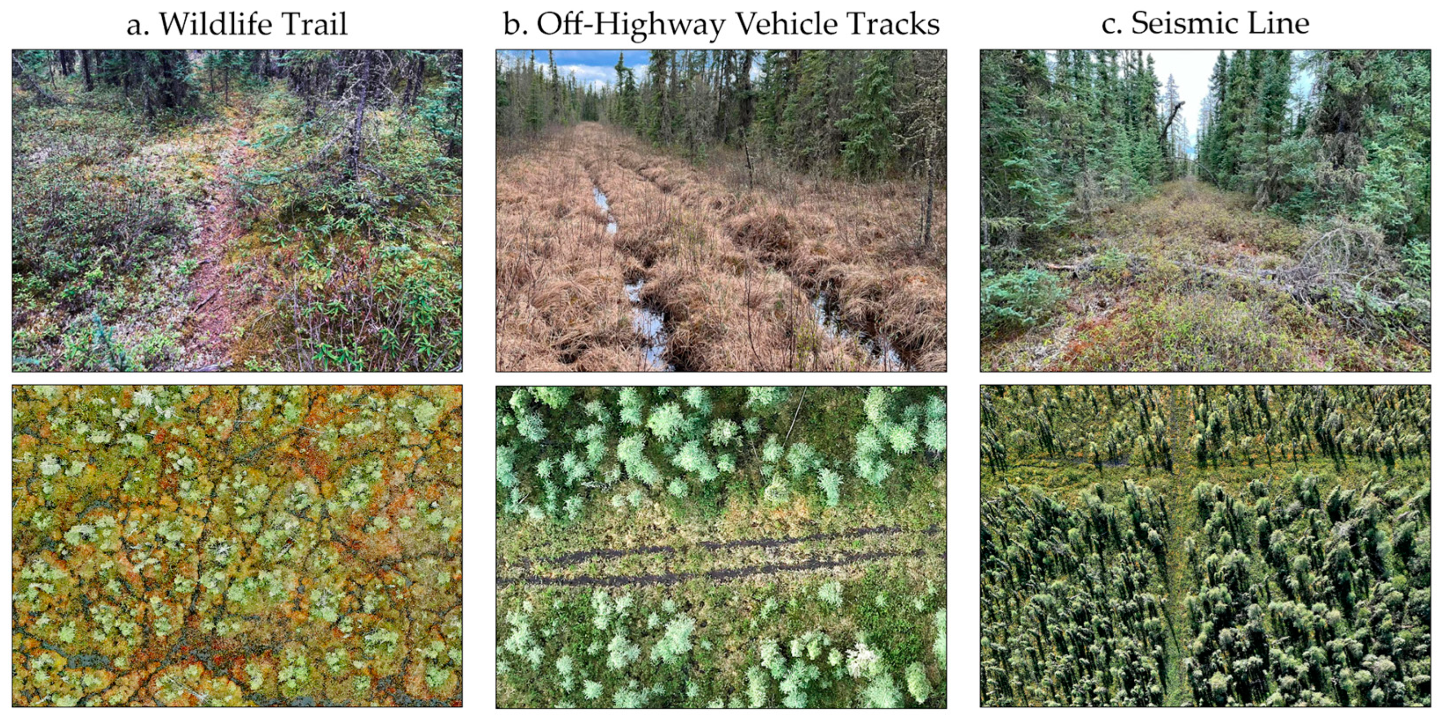 Remotesensing 17 01539 g002