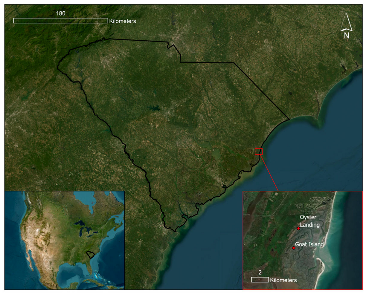 Remotesensing 17 02335 g001